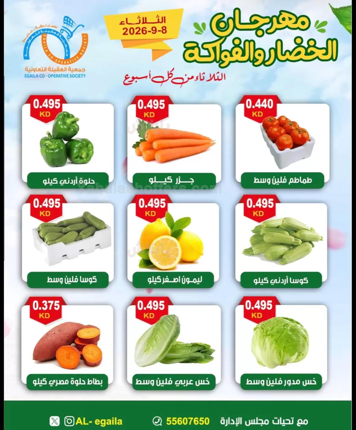 صفحة 3