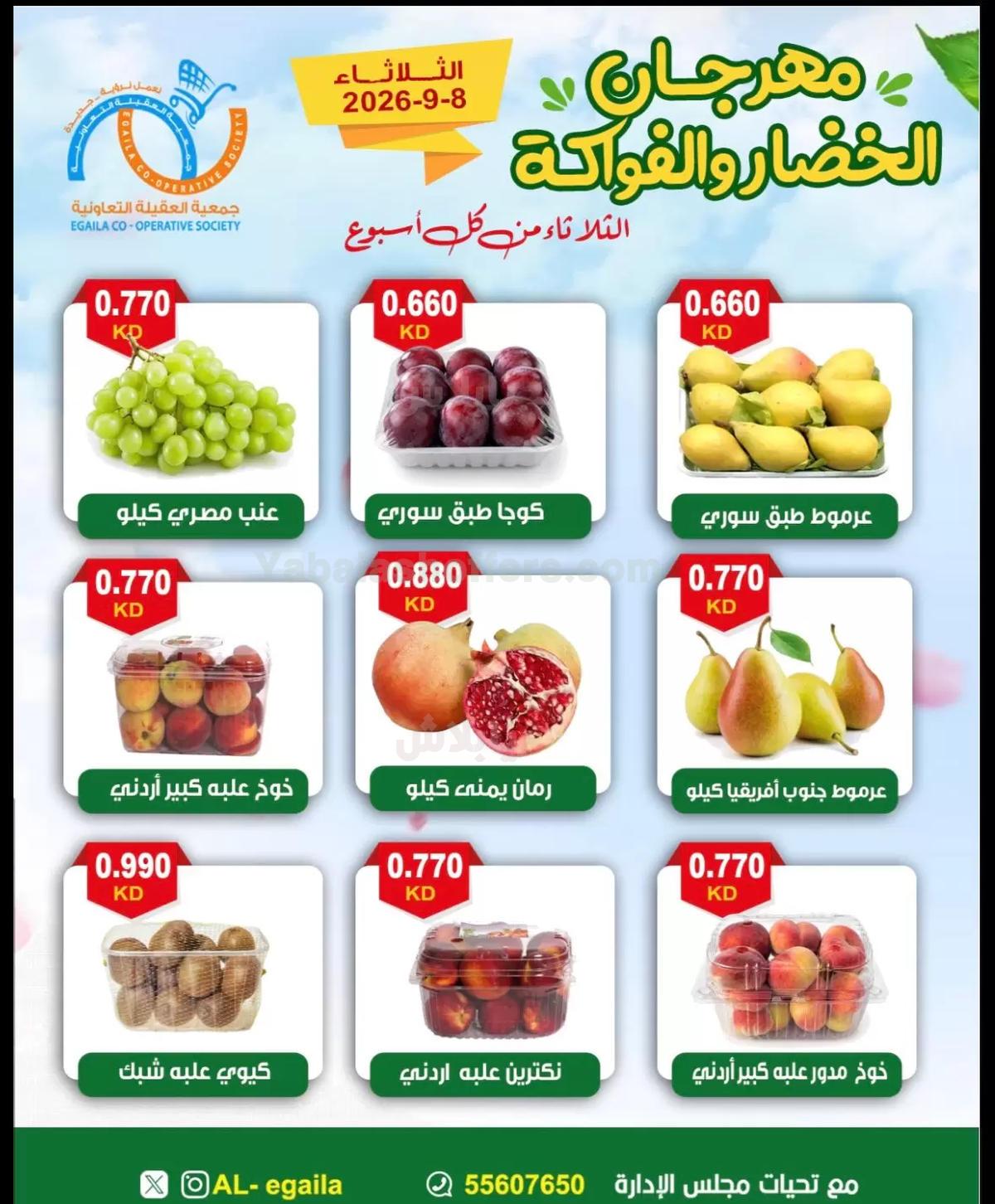 صفحة 5