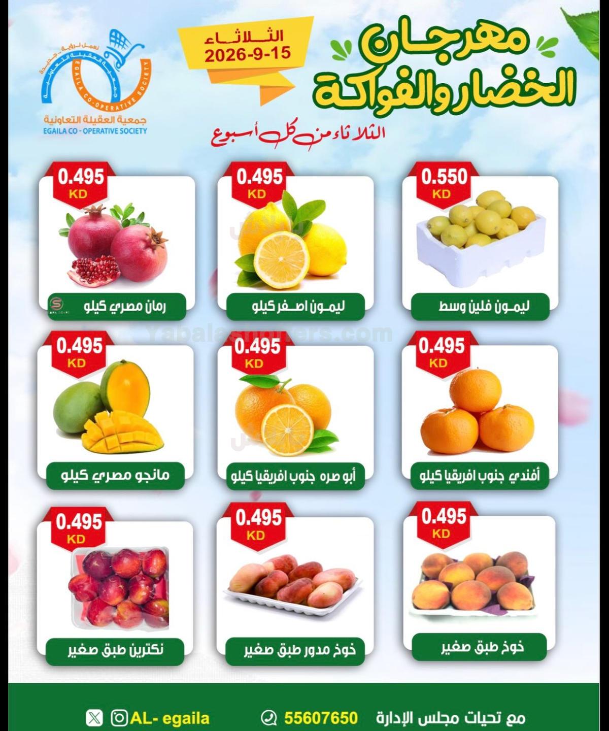 صفحة 4