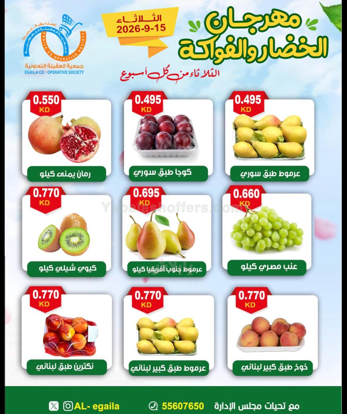 صفحة 5