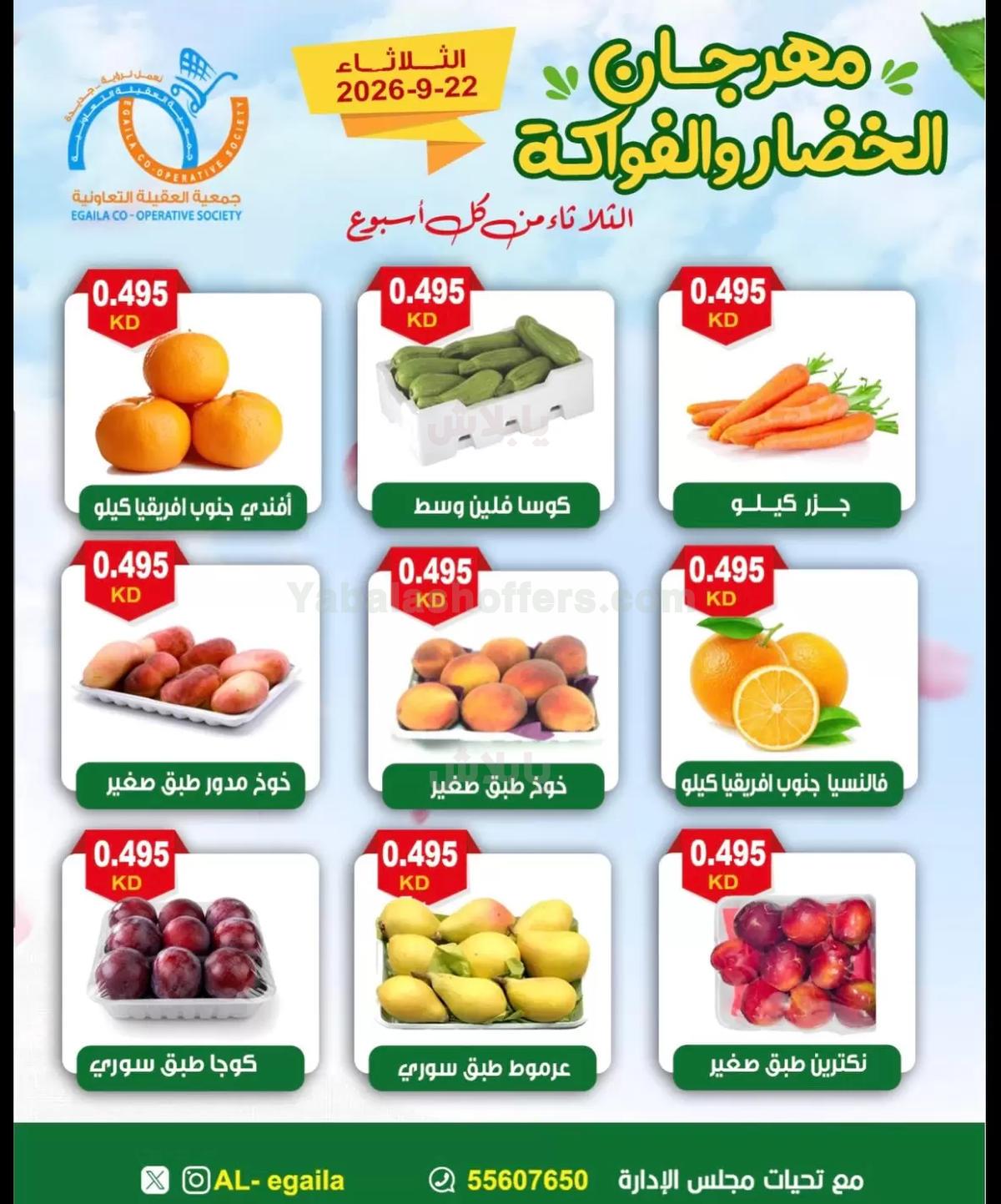 صفحة 4