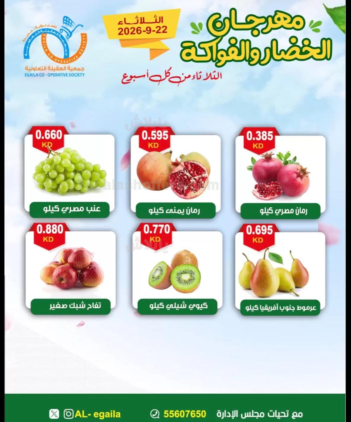 صفحة 5