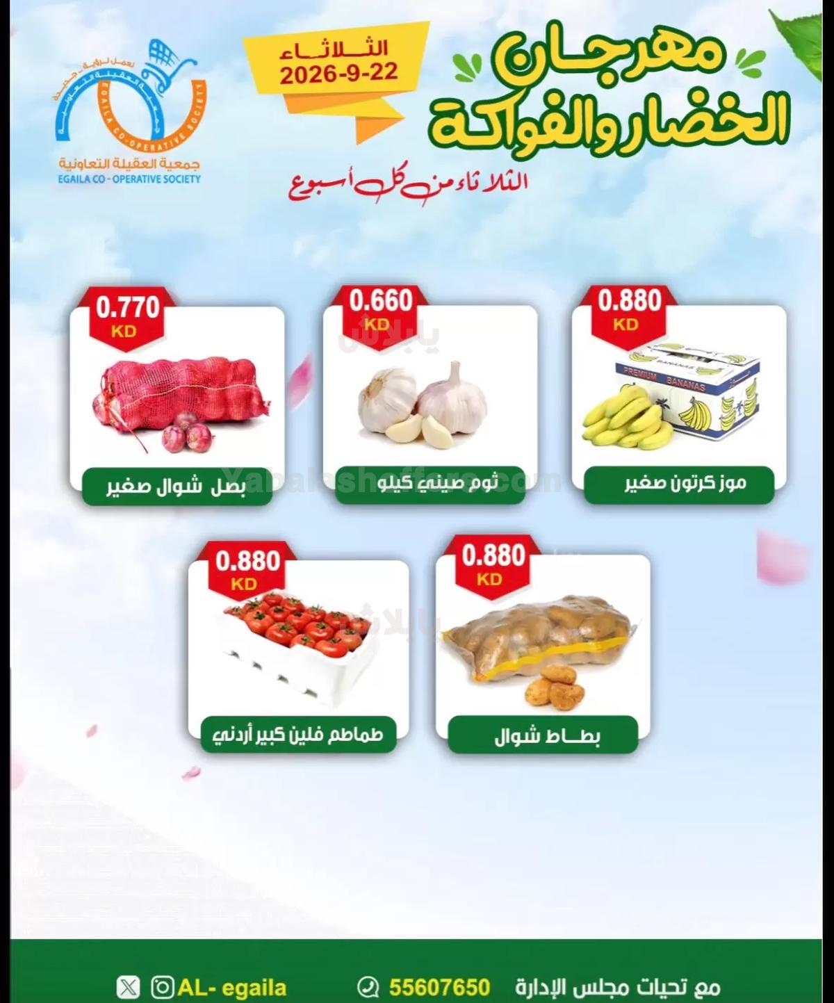 صفحة 6
