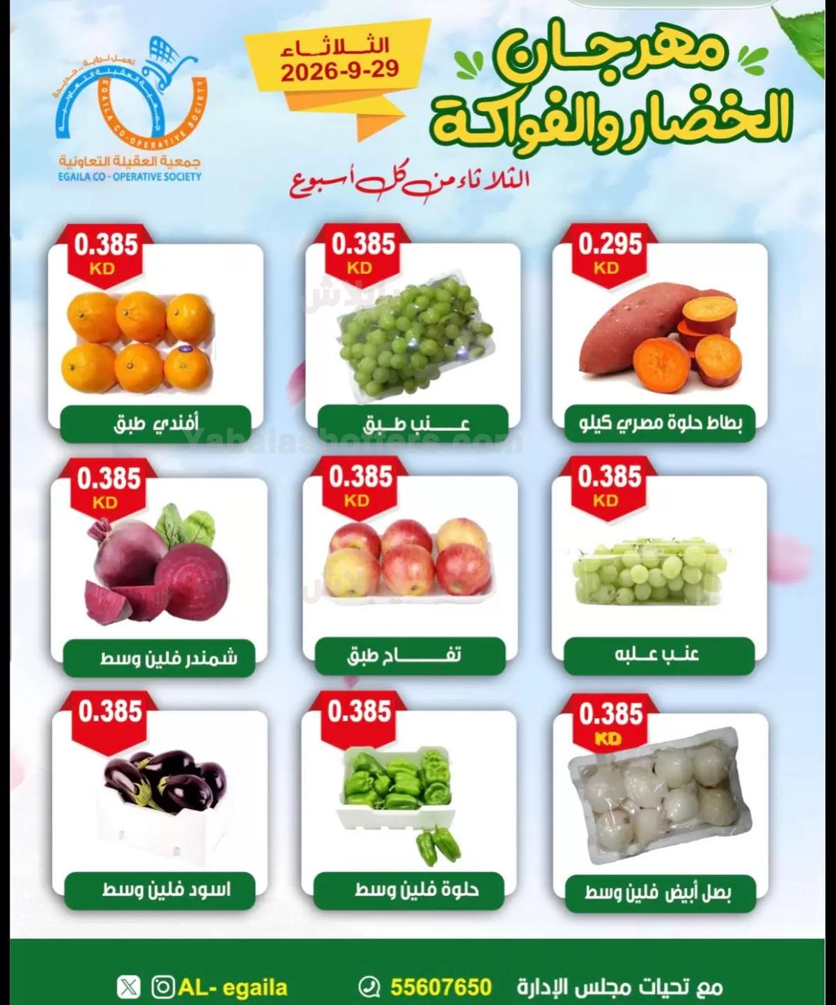 صفحة 3