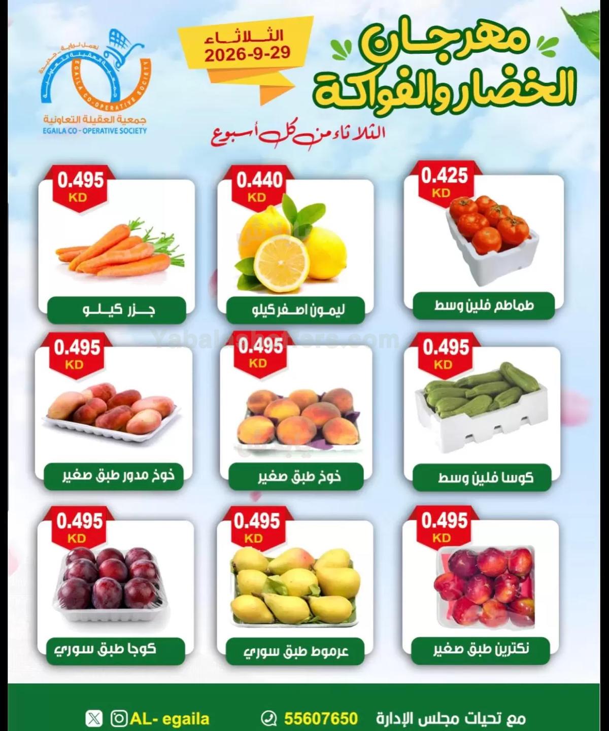 صفحة 4
