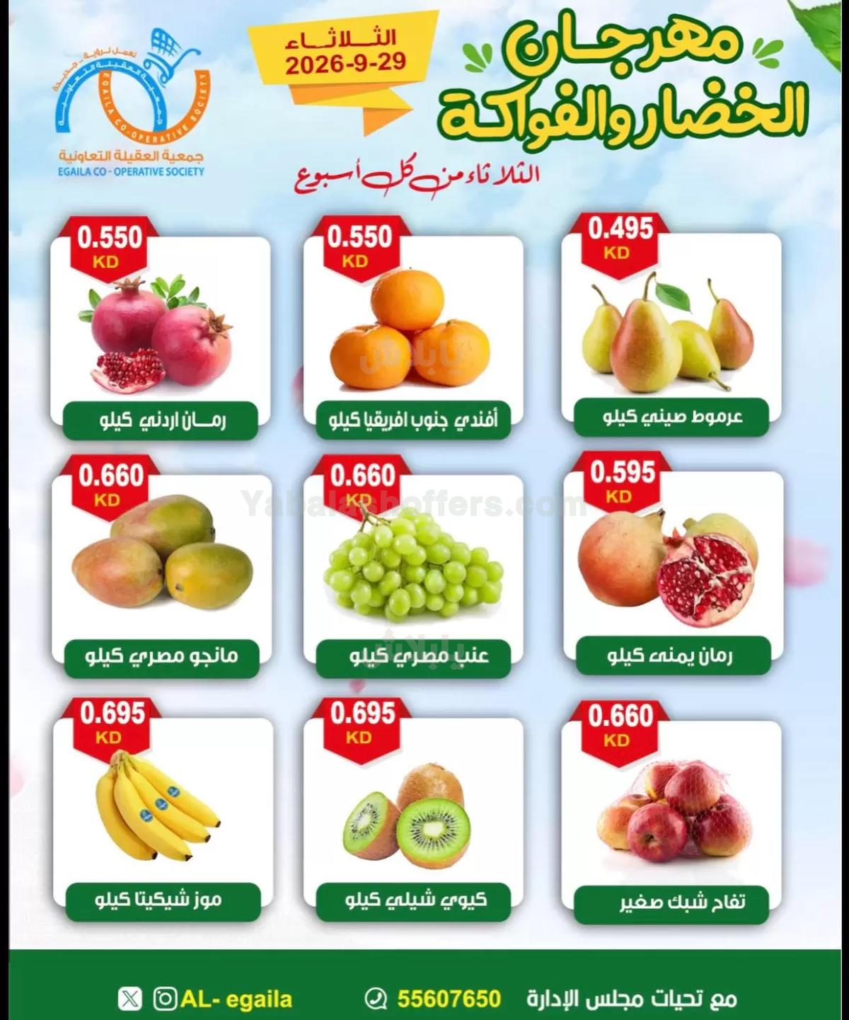 صفحة 5