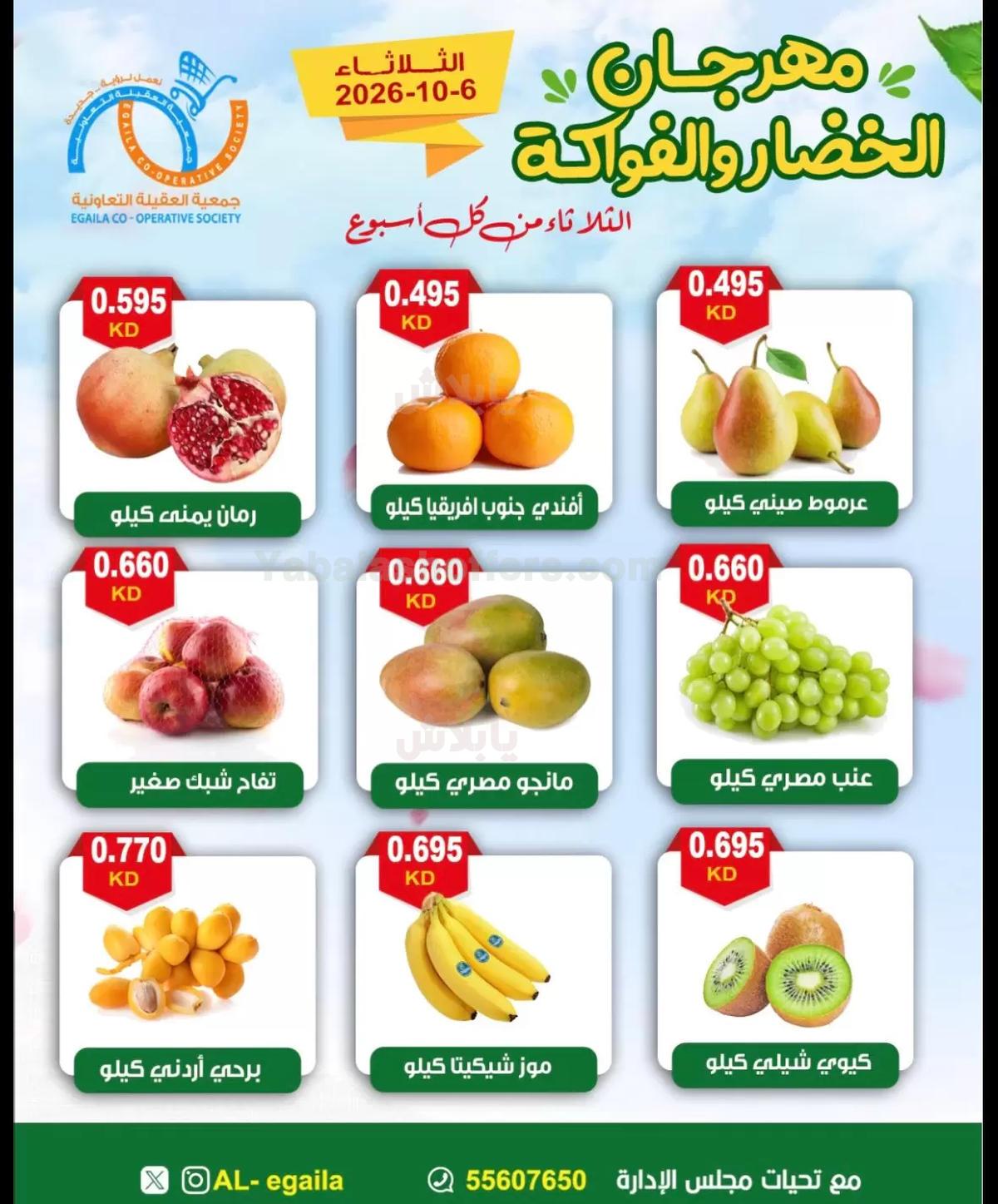 صفحة 5