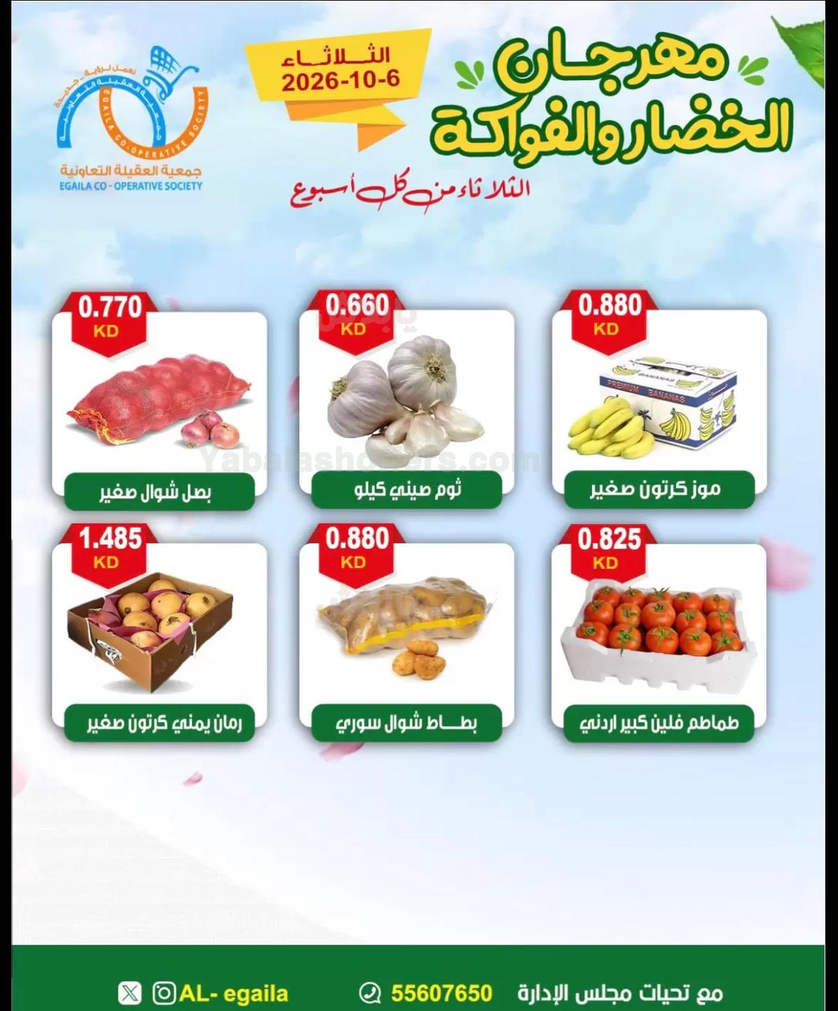 صفحة 6