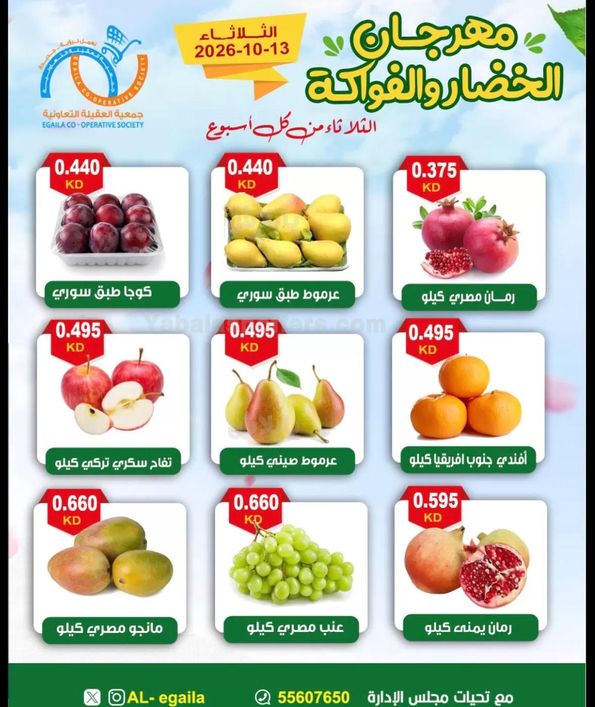 صفحة 4
