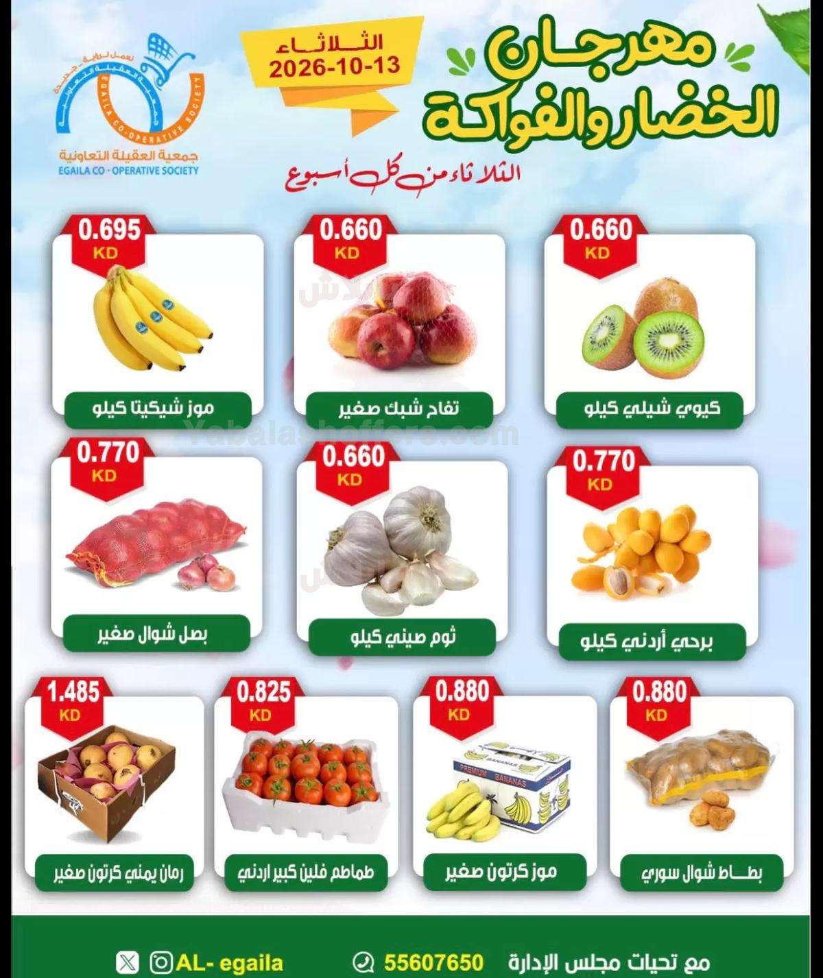 صفحة 5