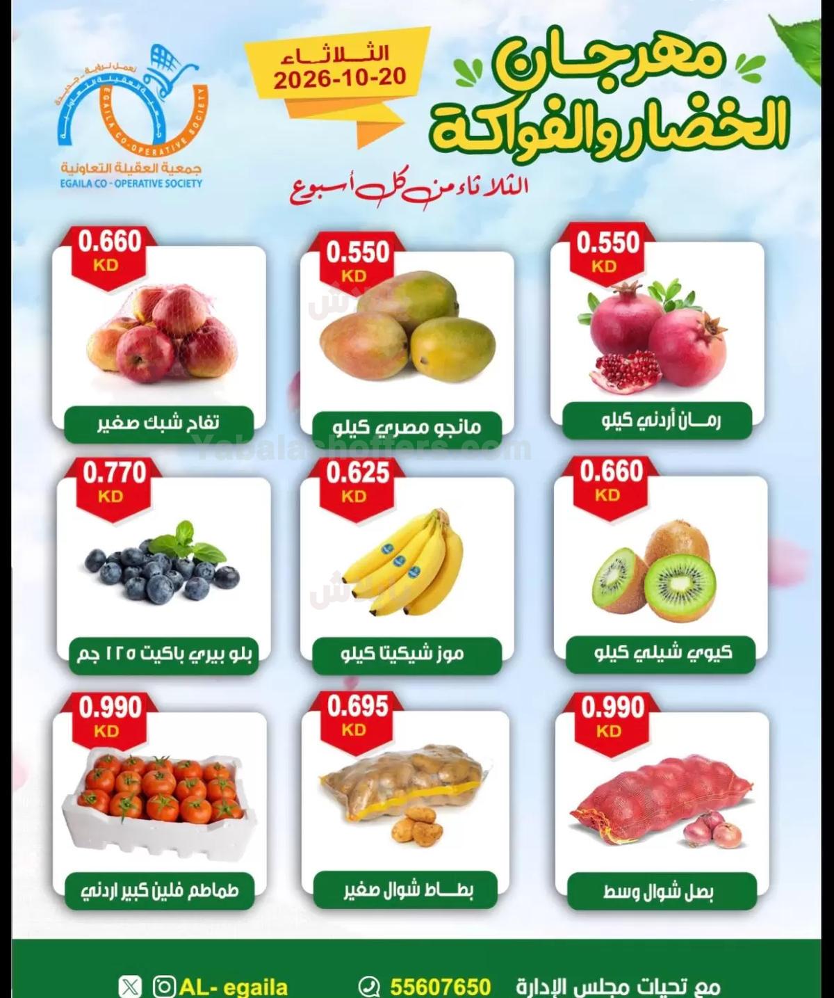 صفحة 5