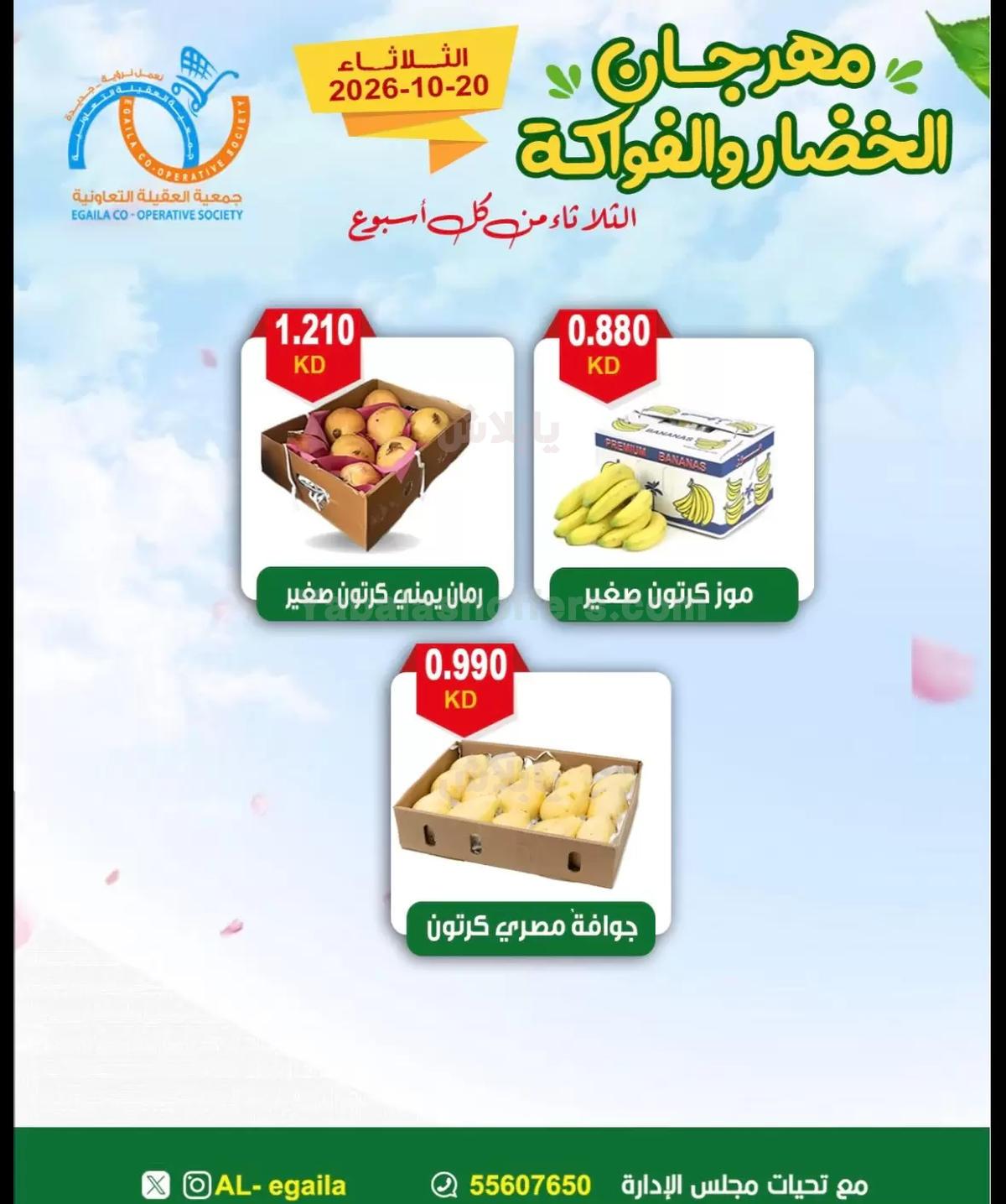 صفحة 6