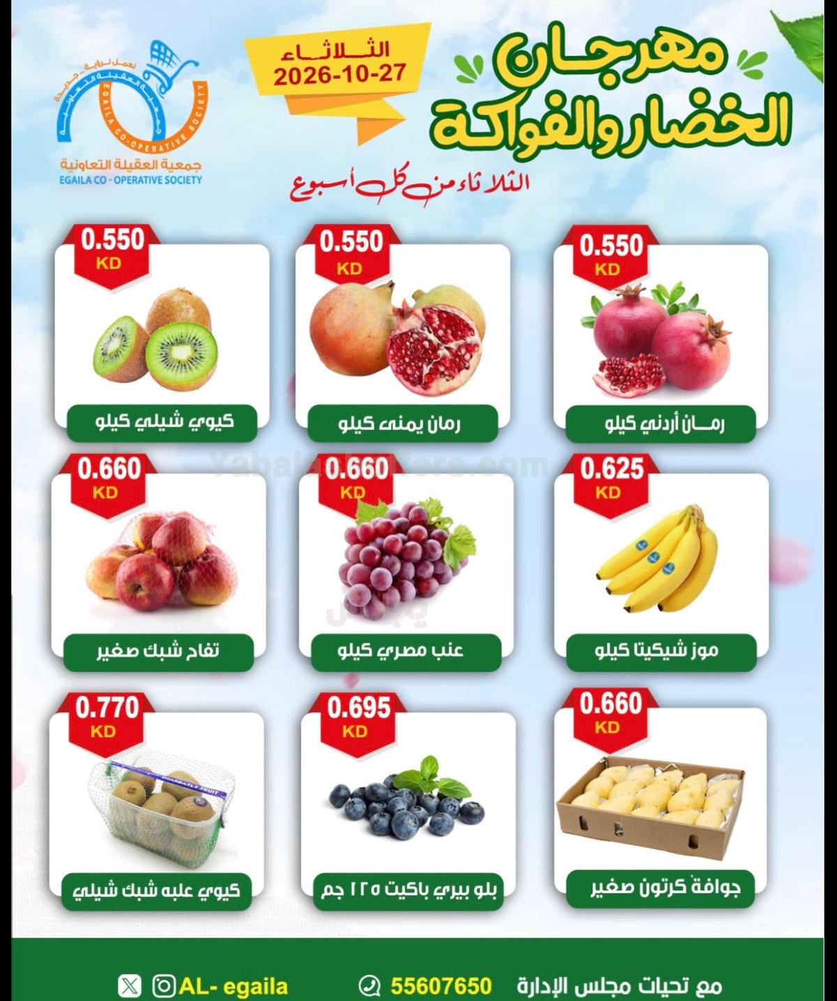 صفحة 5