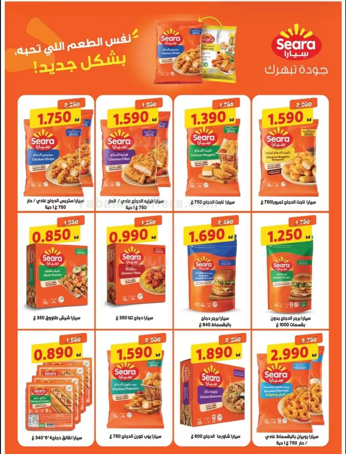 صفحة 3