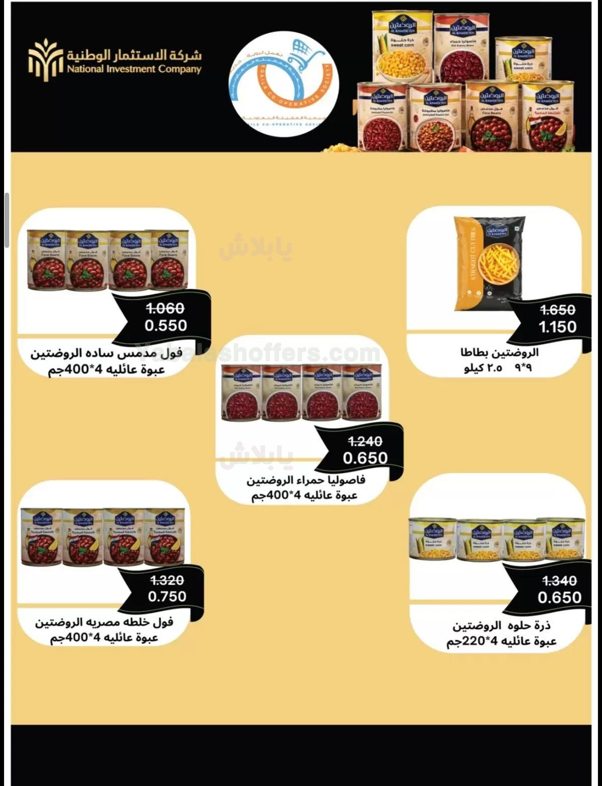 صفحة 17