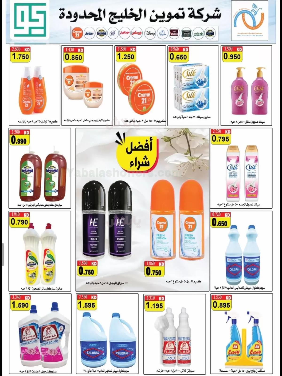 صفحة 26