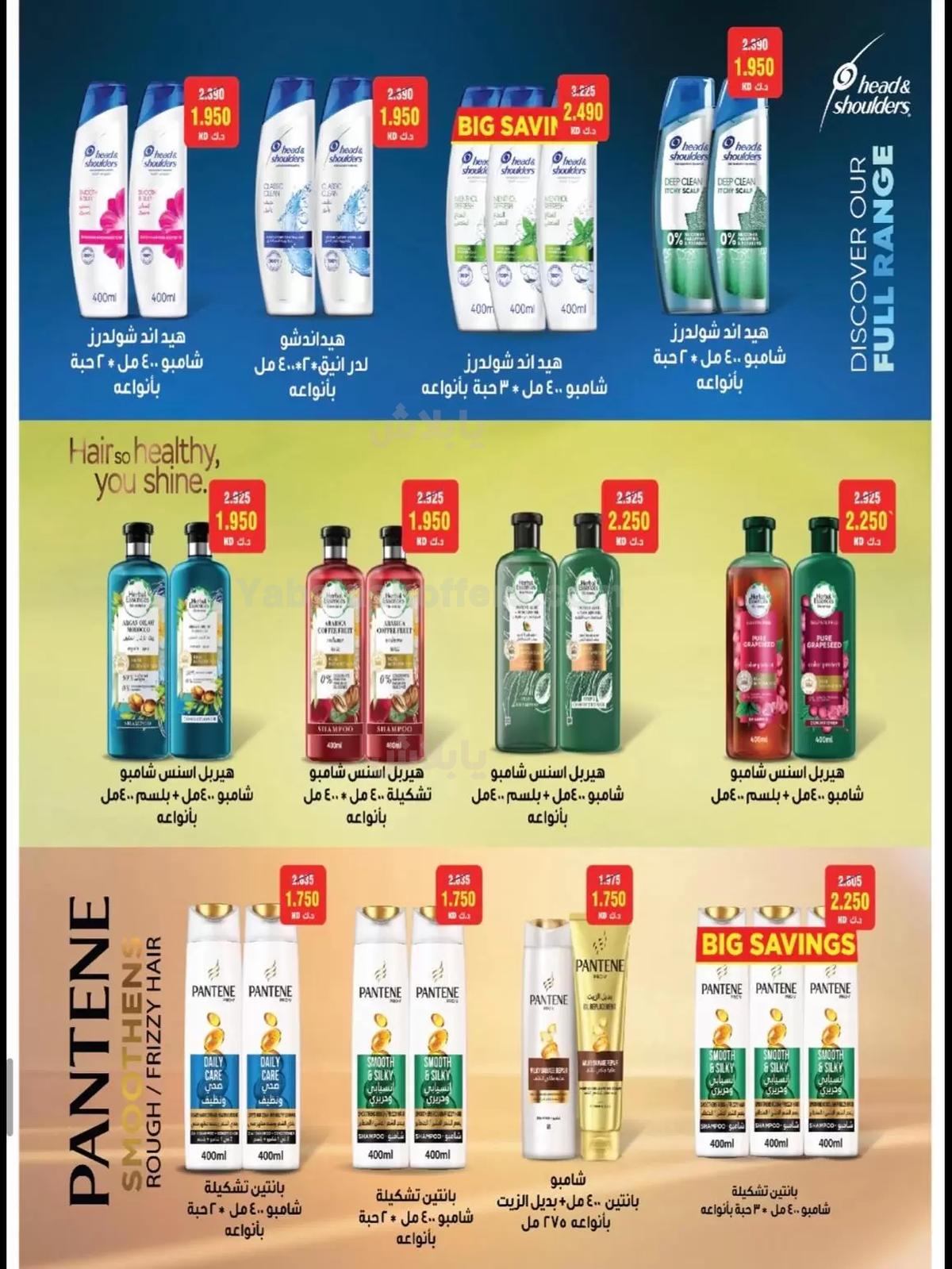 صفحة 29