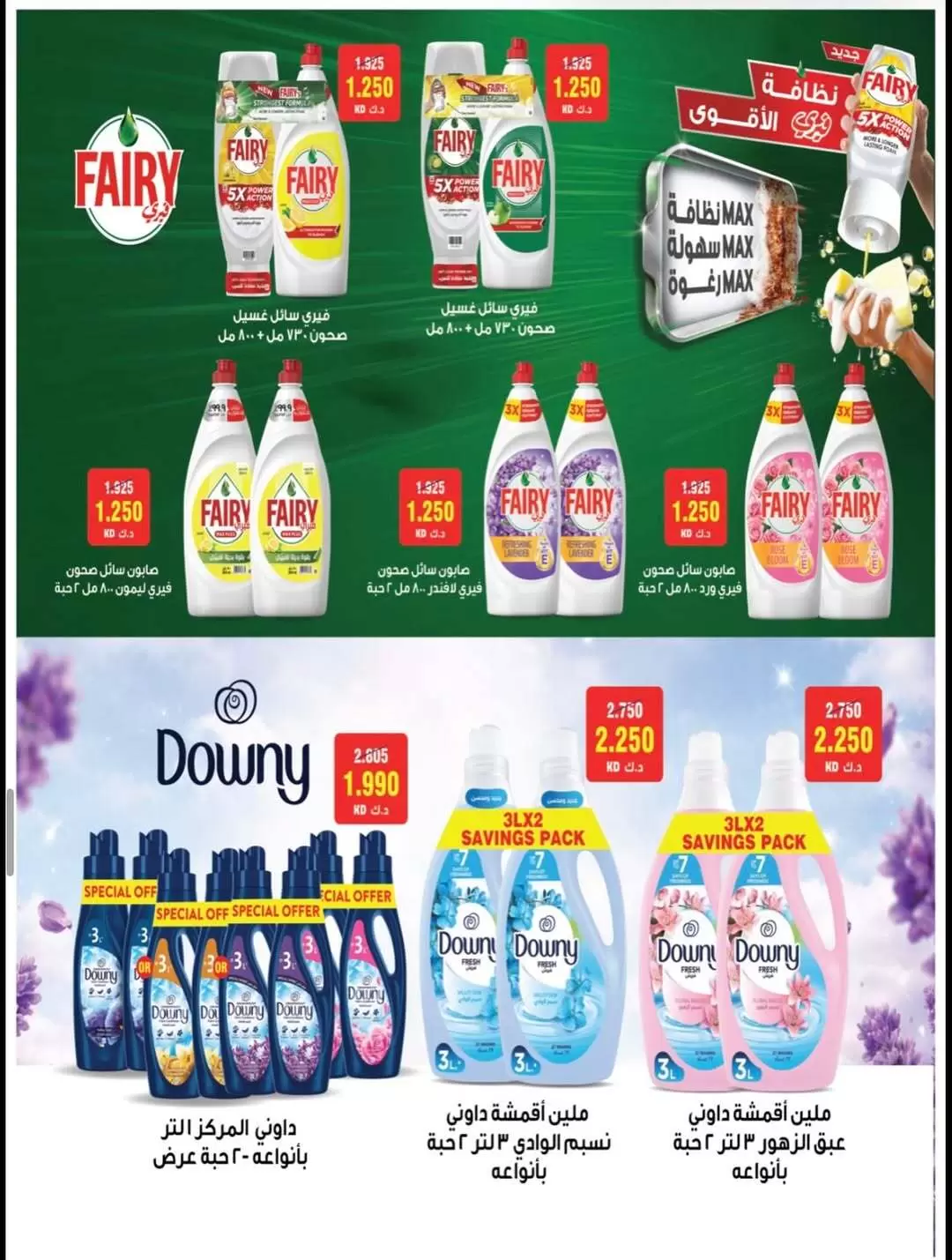 صفحة 24