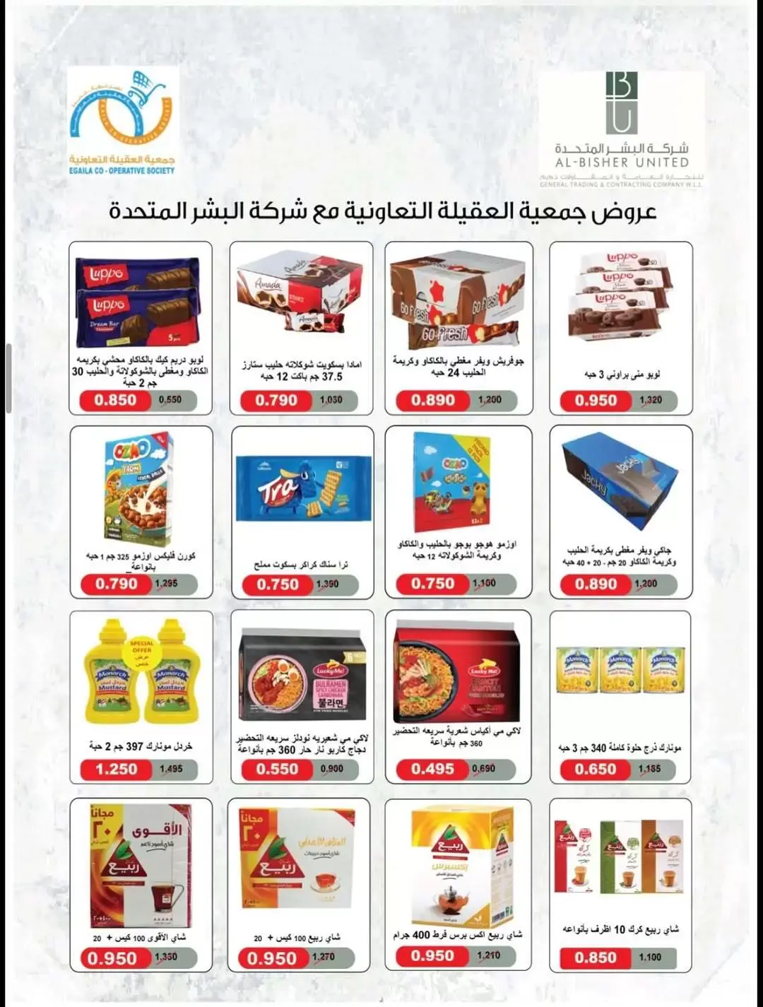 صفحة 17