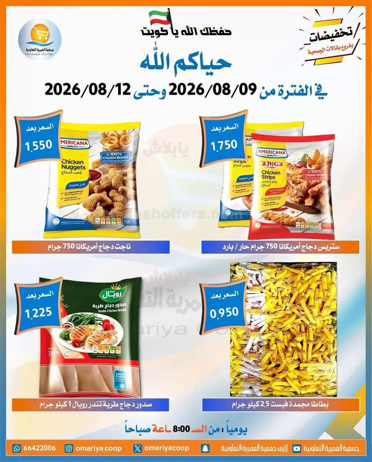 صفحة 2