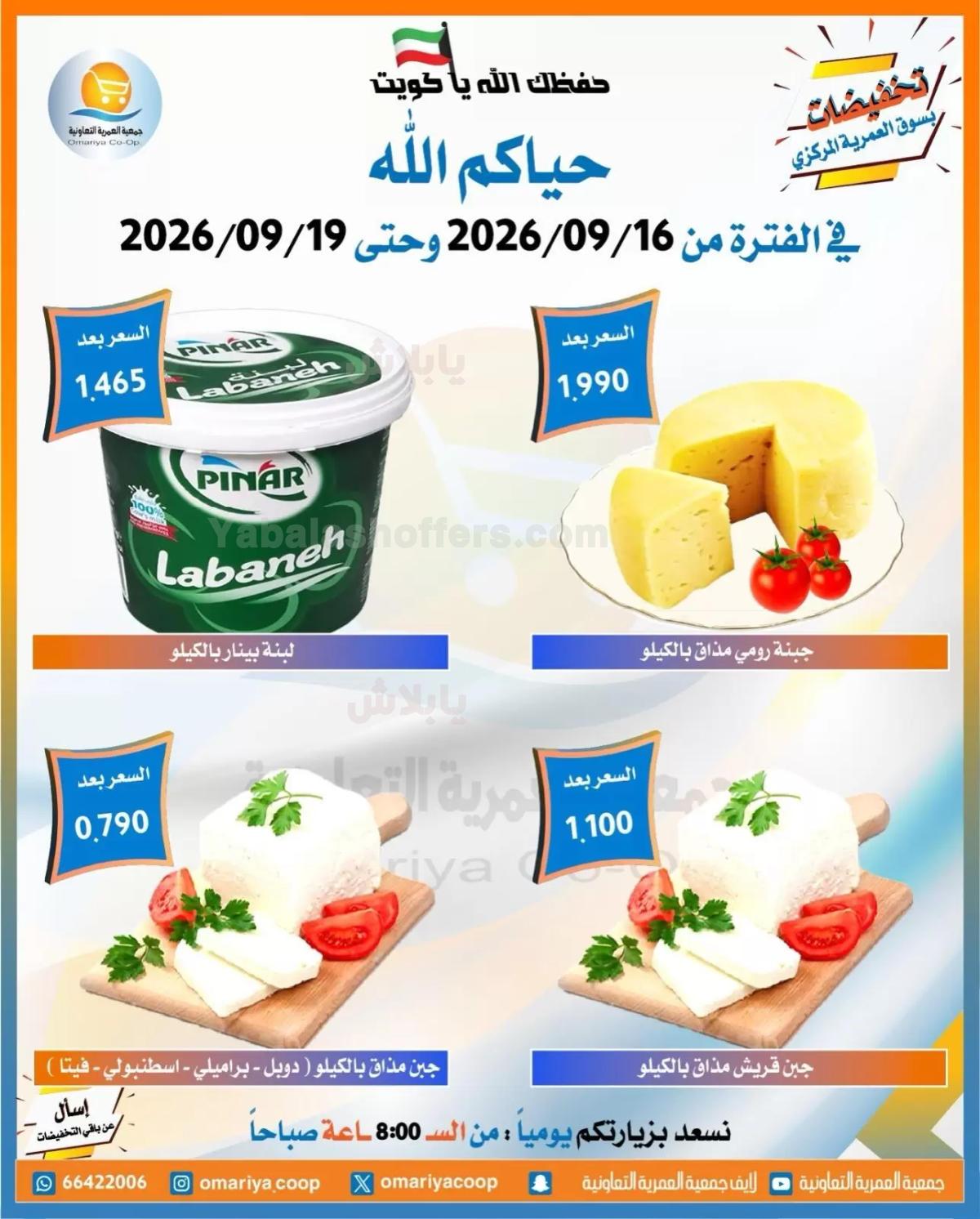 صفحة 11