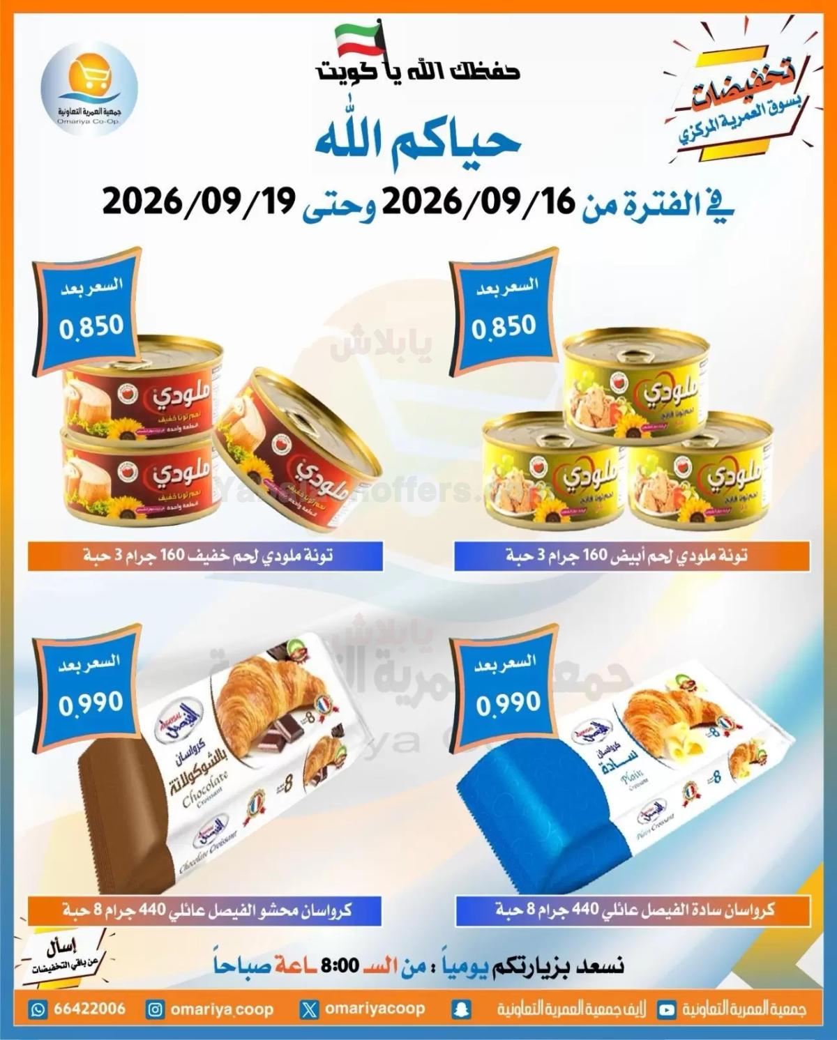 صفحة 13