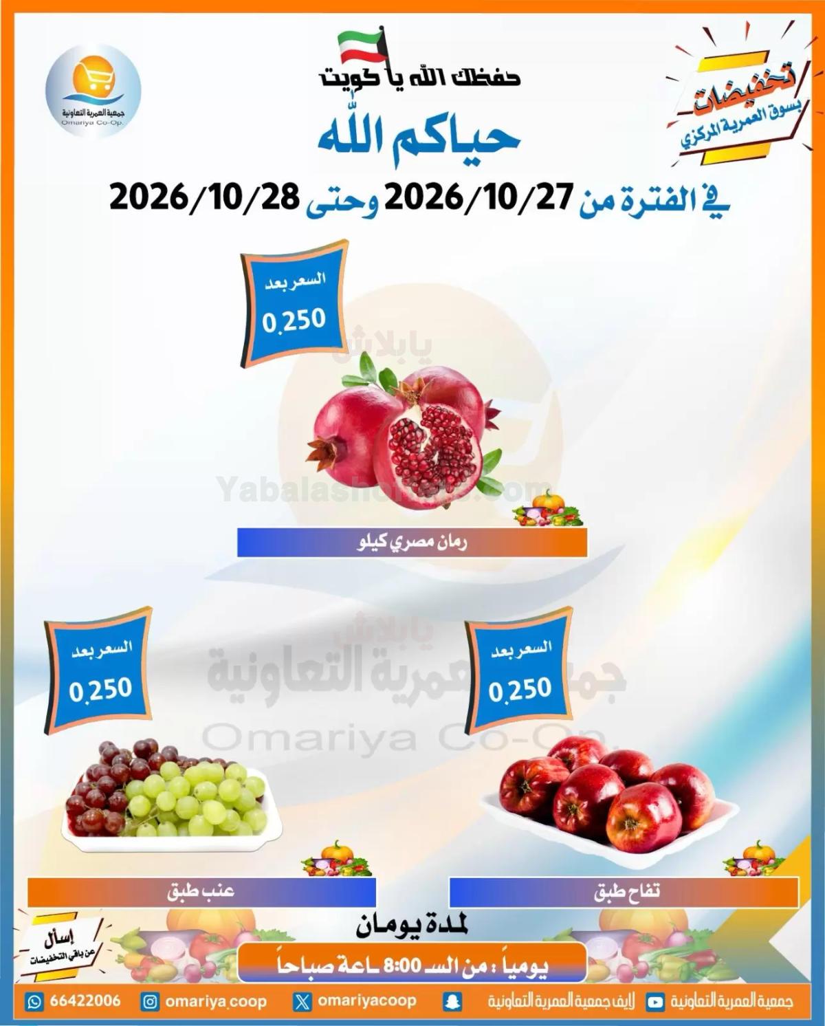 صفحة 4