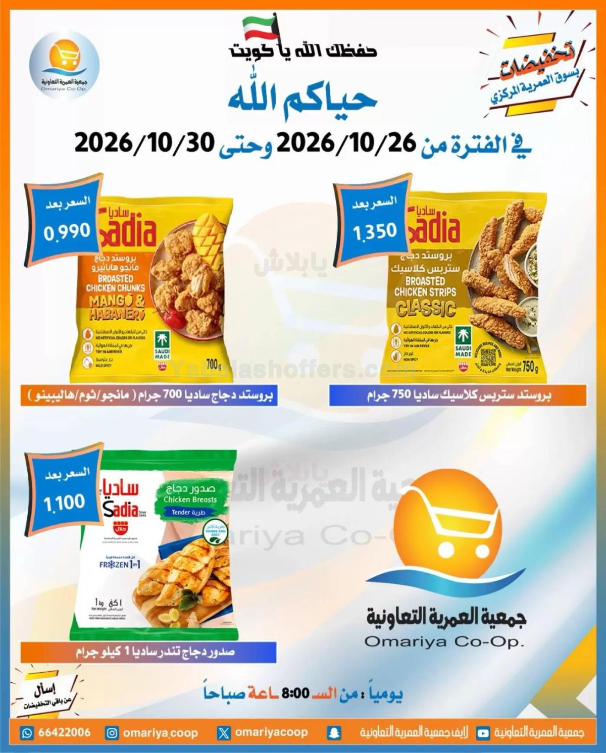 صفحة 4