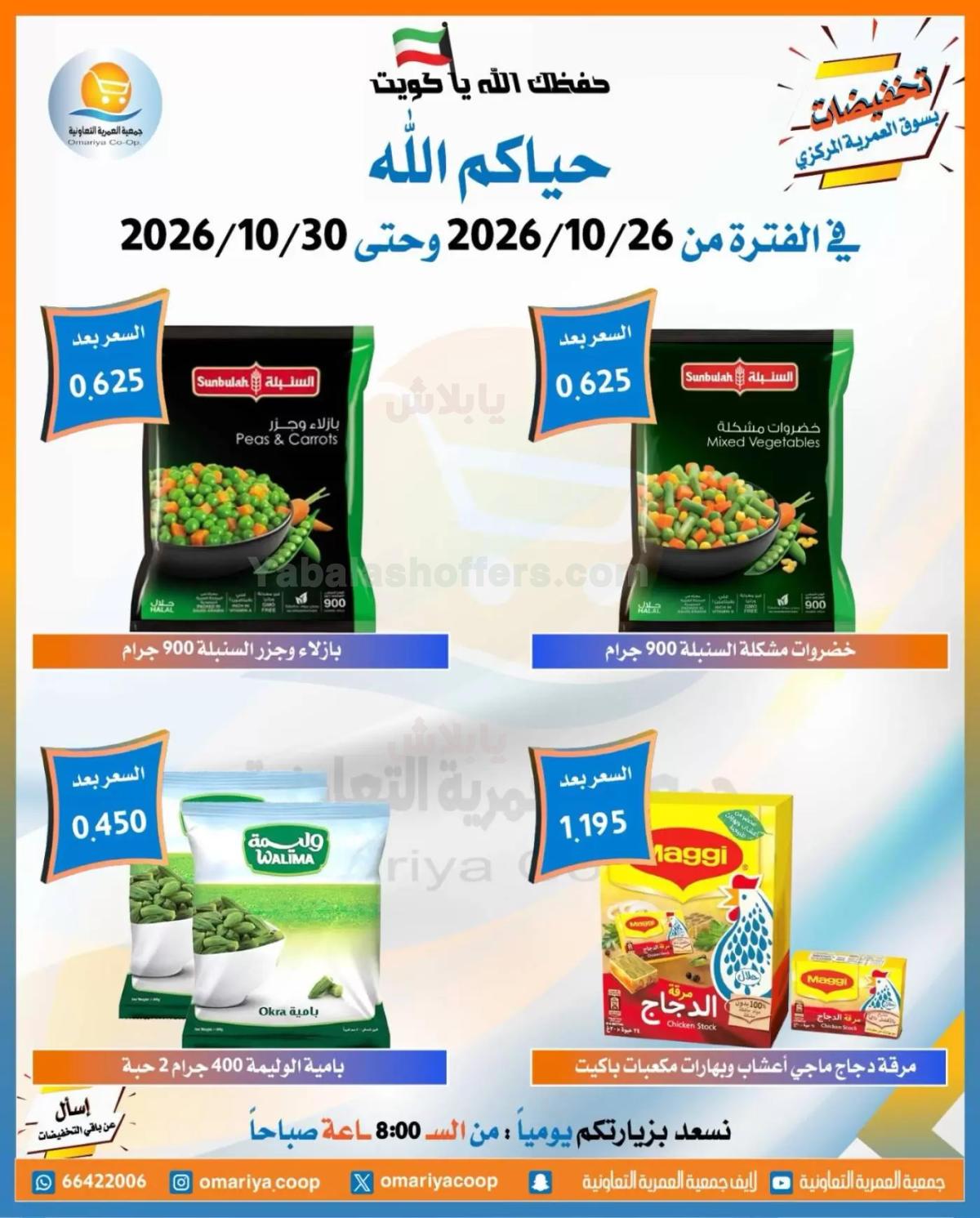 صفحة 13