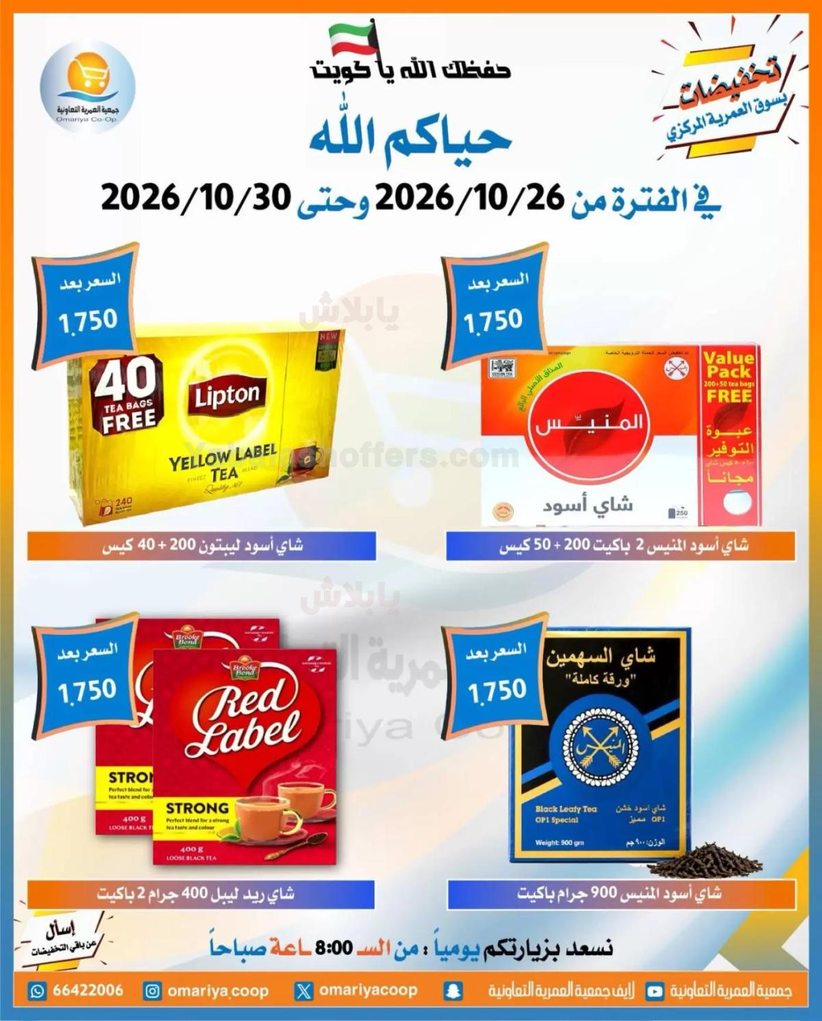 صفحة 17