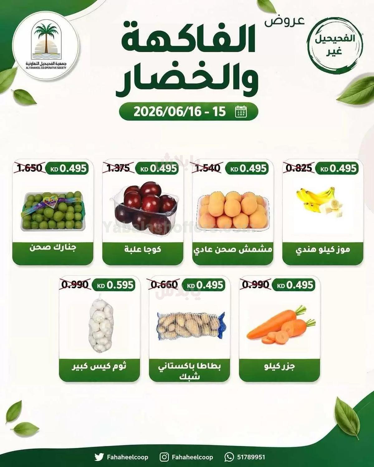 صفحة 2