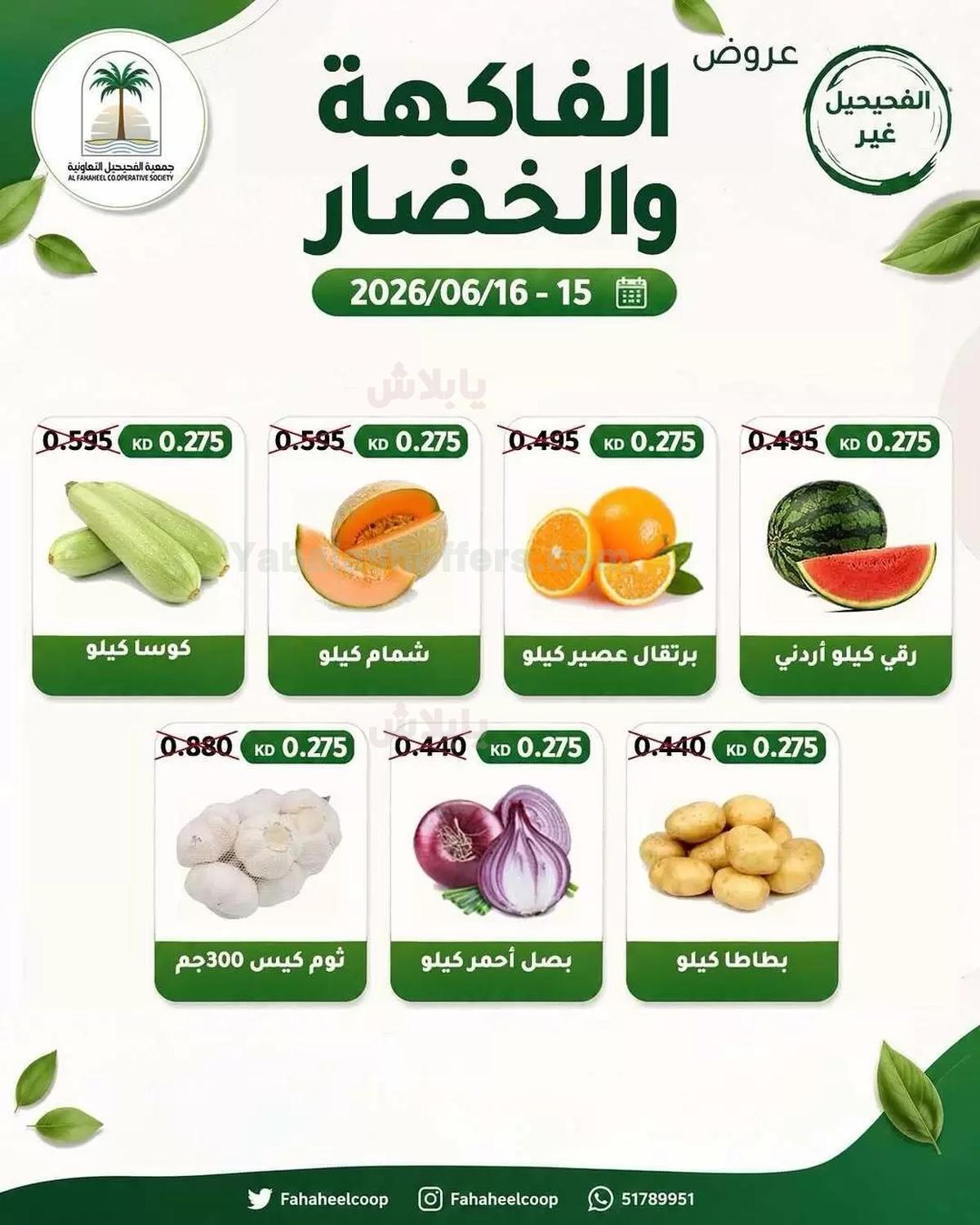 صفحة 3
