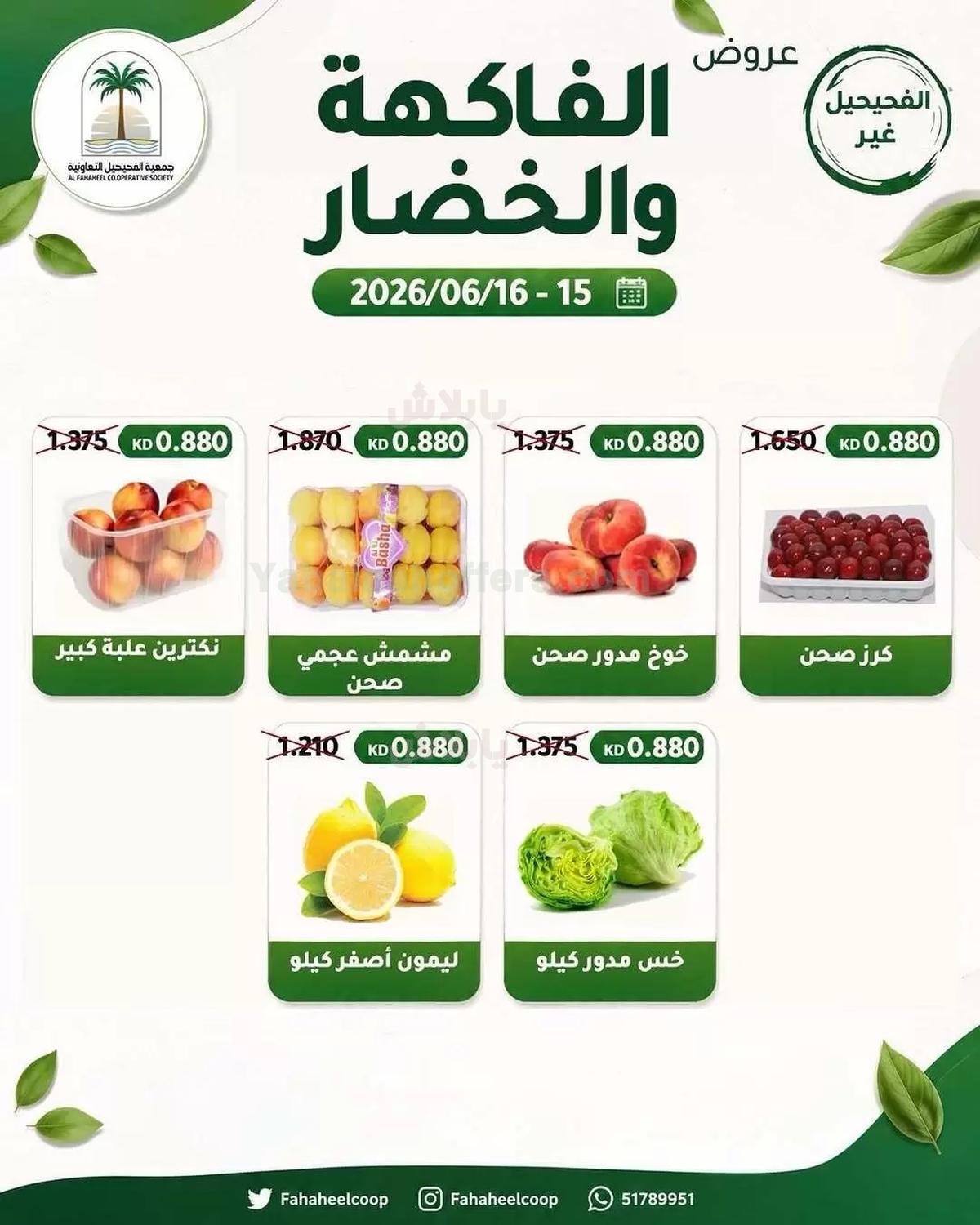 صفحة 4