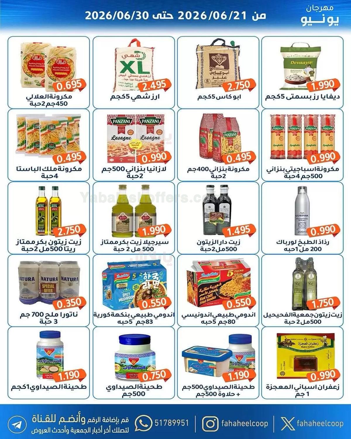 صفحة 17