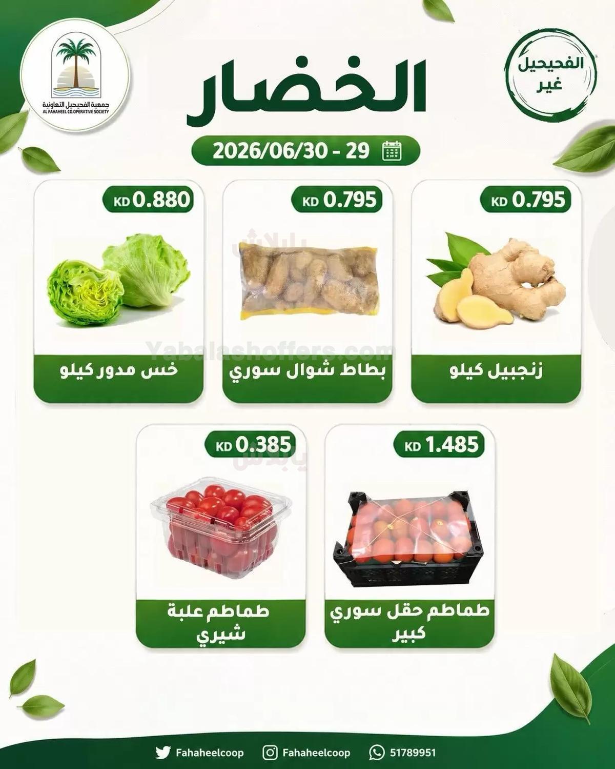 صفحة 3