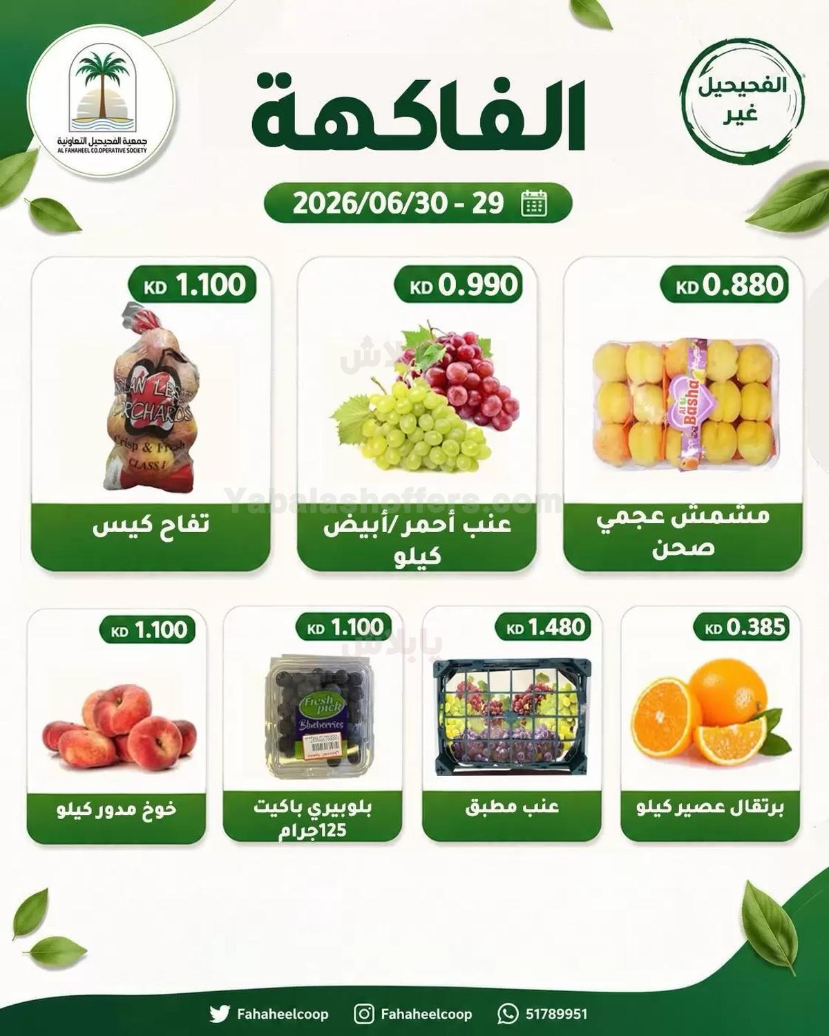 صفحة 5