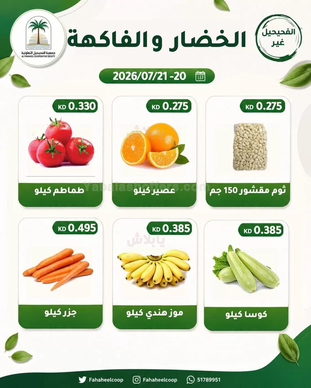 صفحة 3