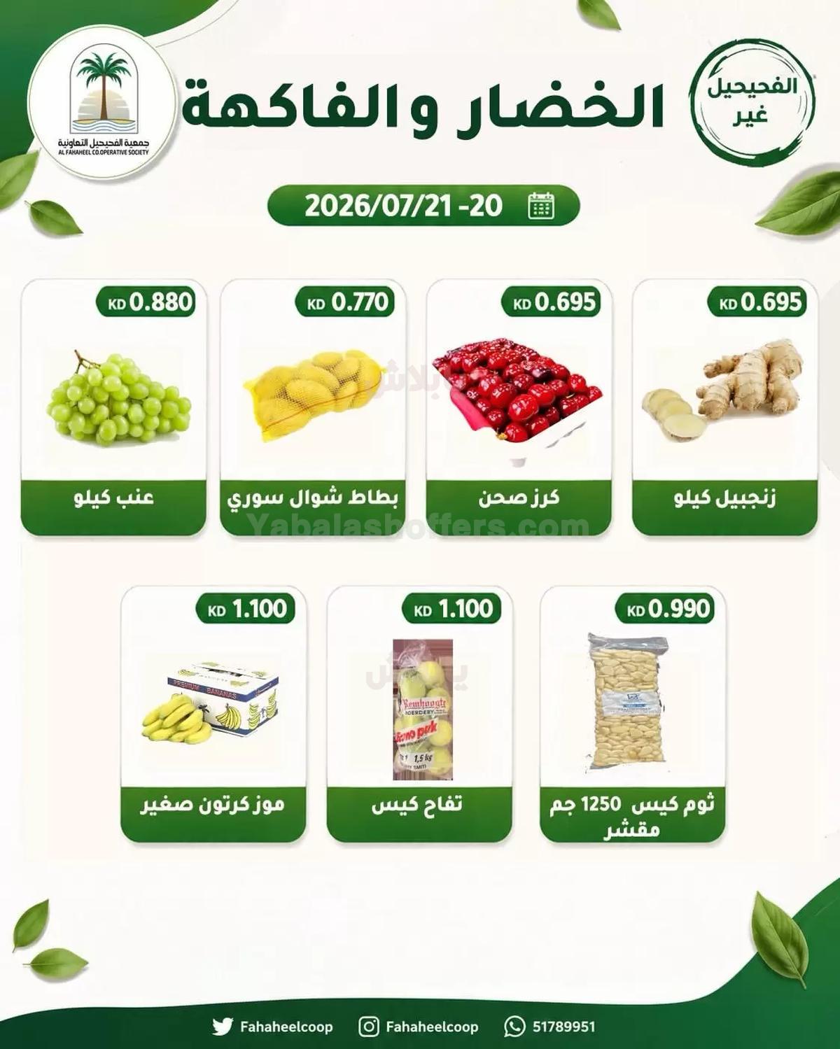 صفحة 5