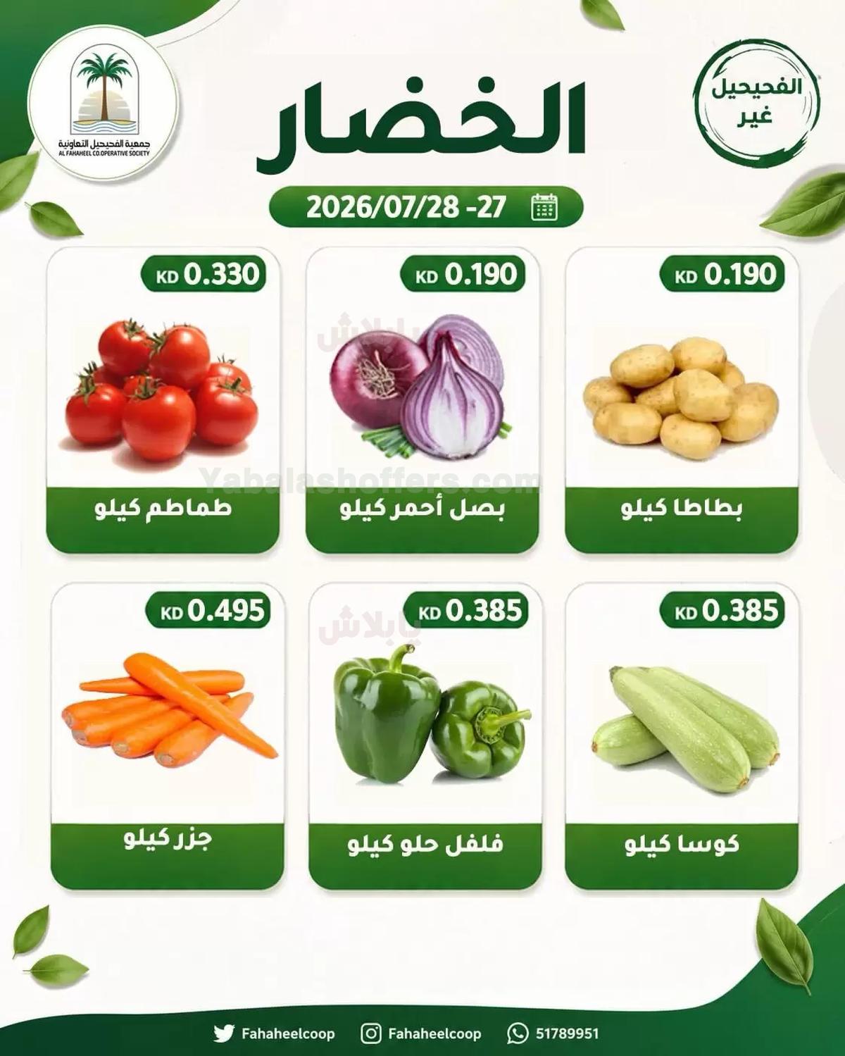 صفحة 3