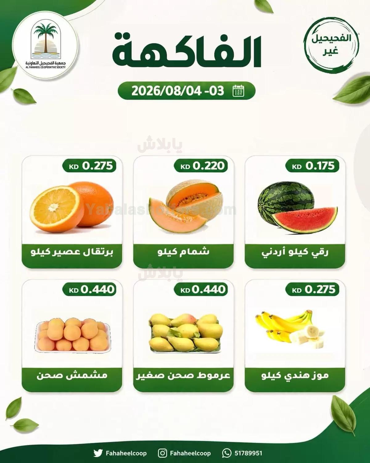 صفحة 2