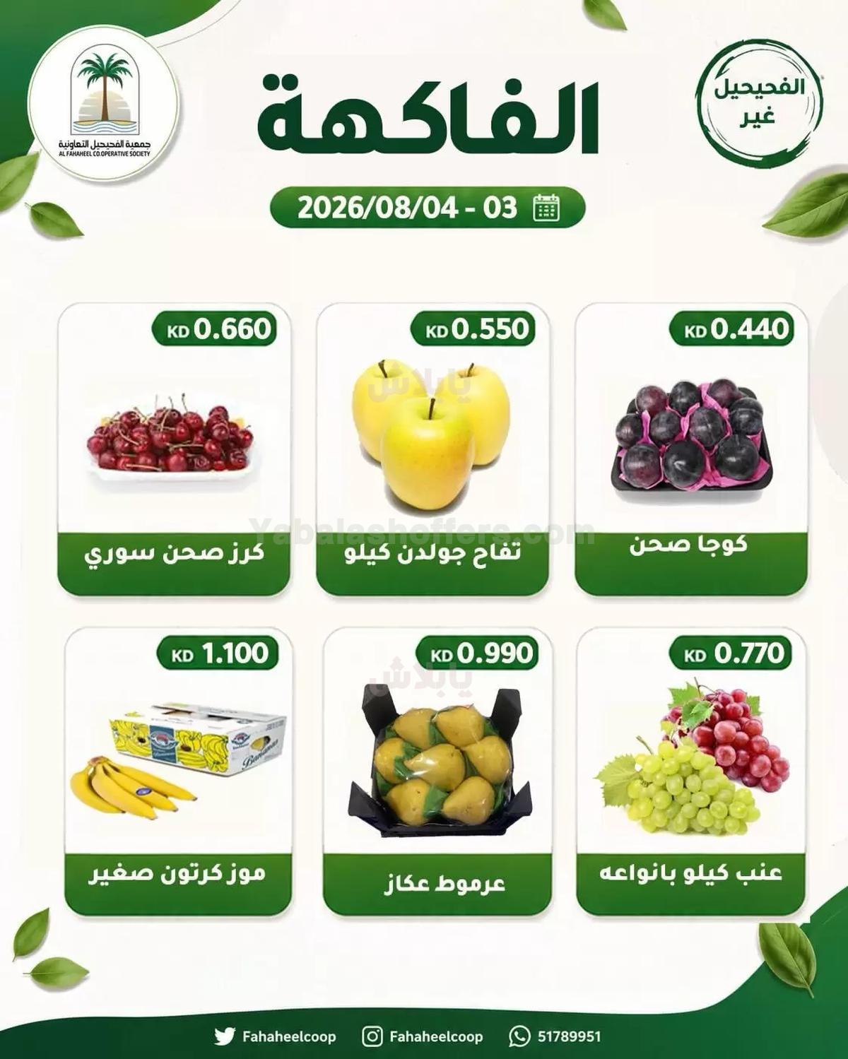 صفحة 3