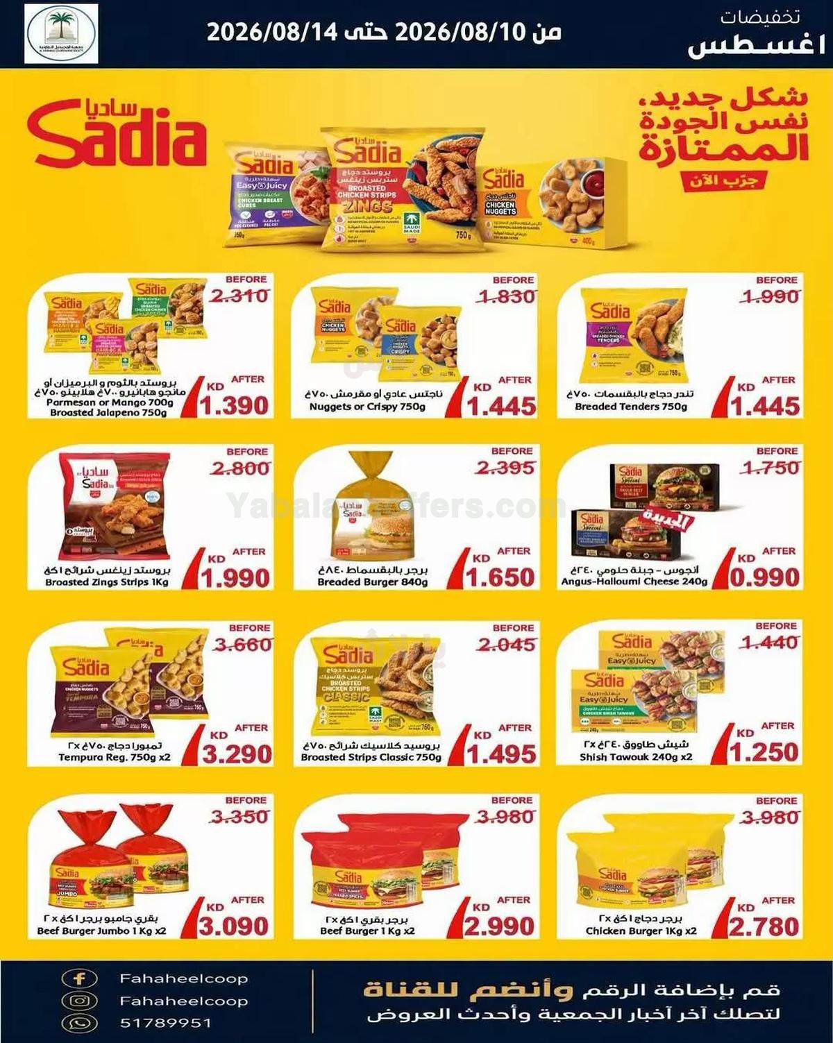 صفحة 4