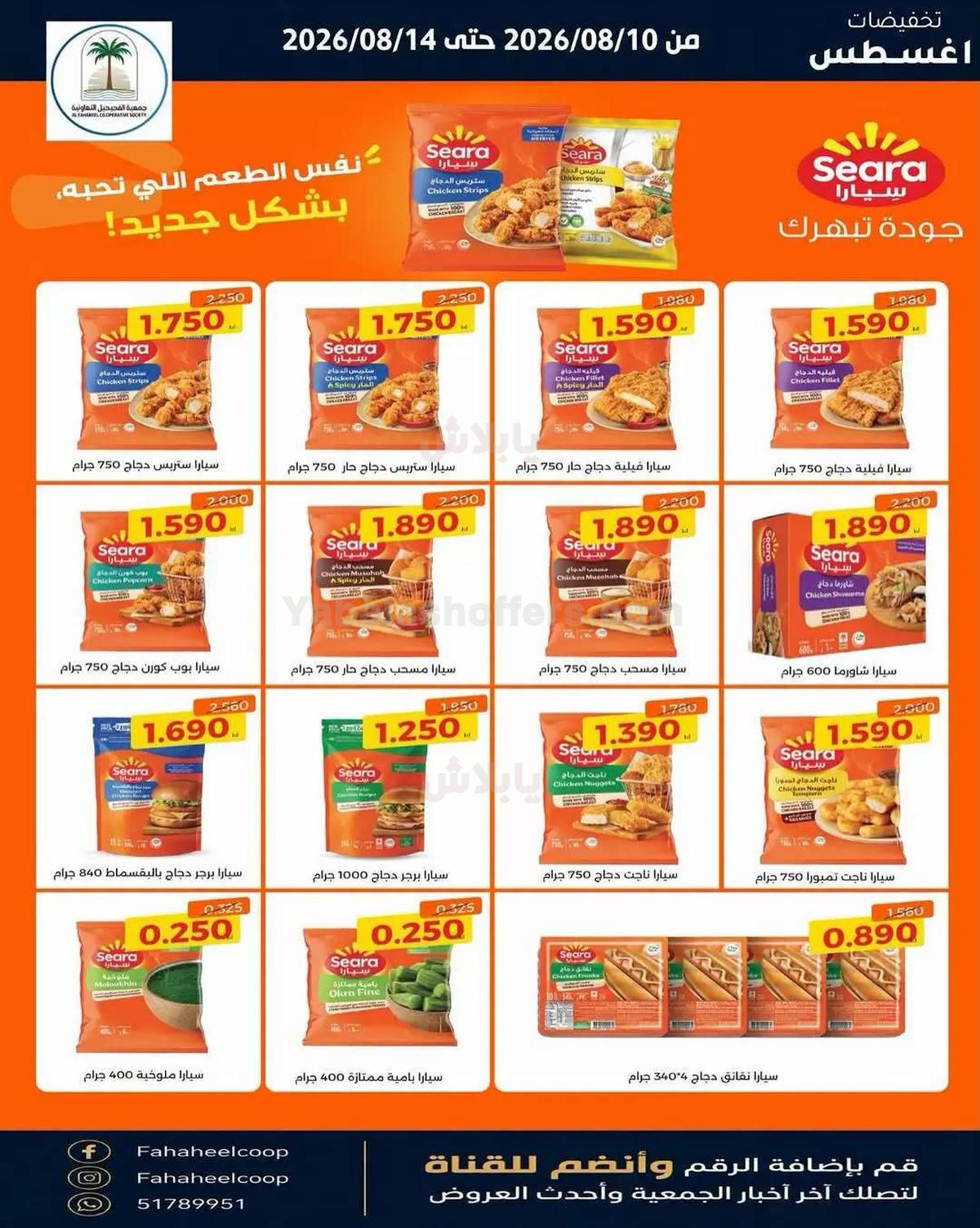 صفحة 10