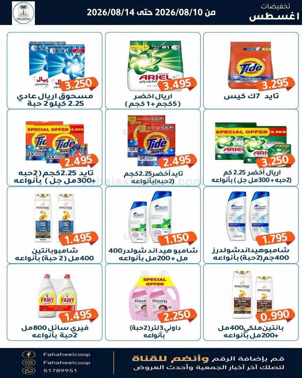 صفحة 13