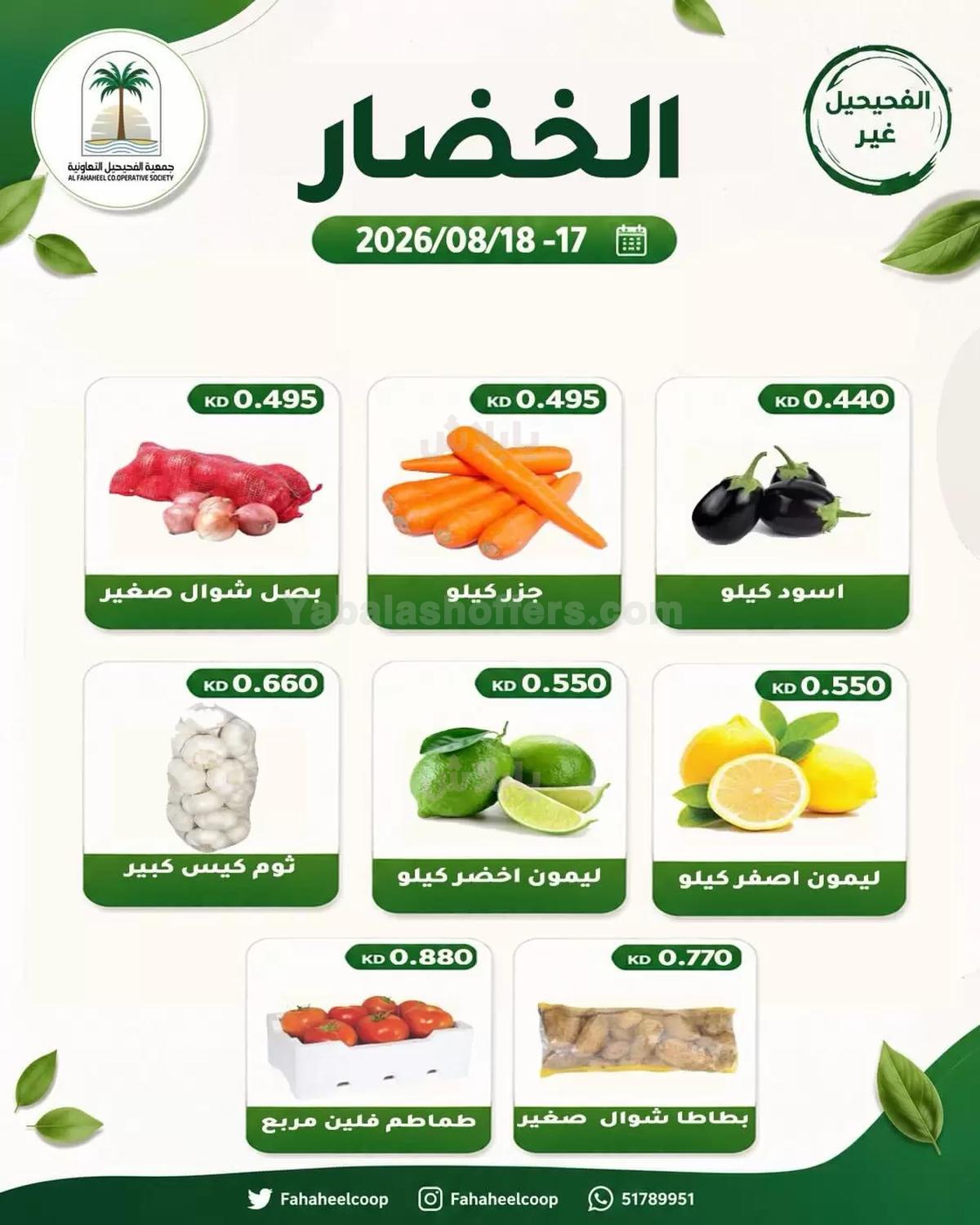 صفحة 2