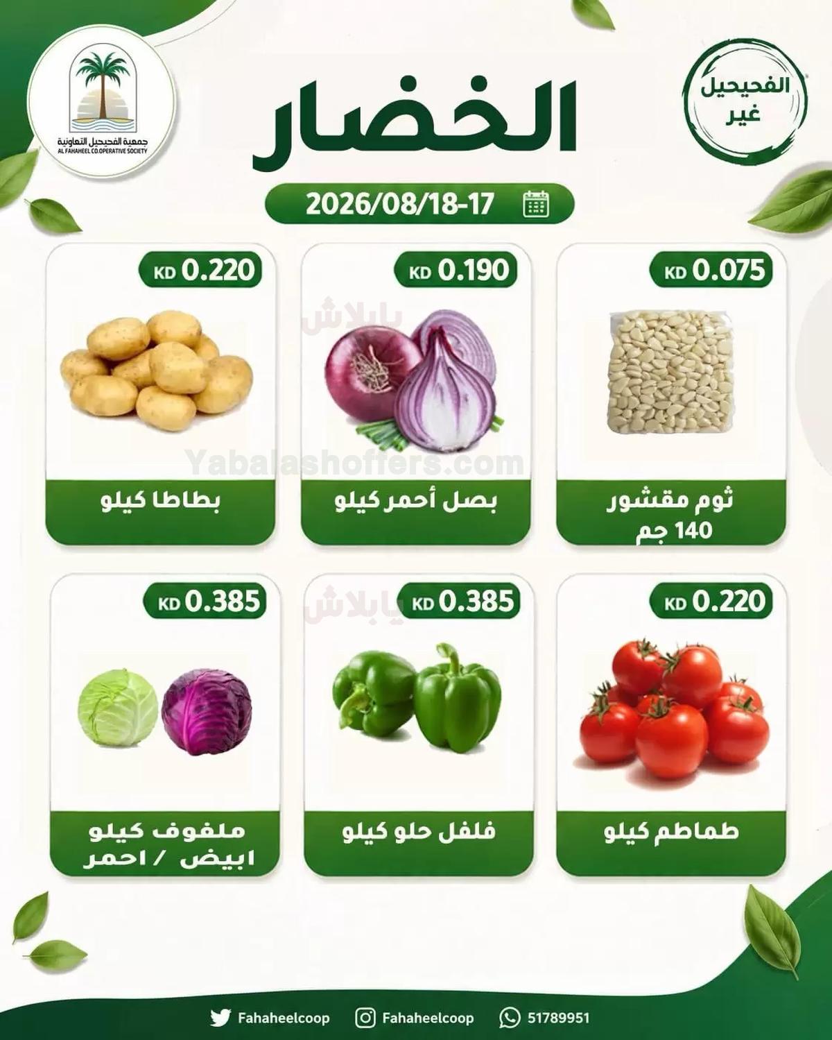 صفحة 3