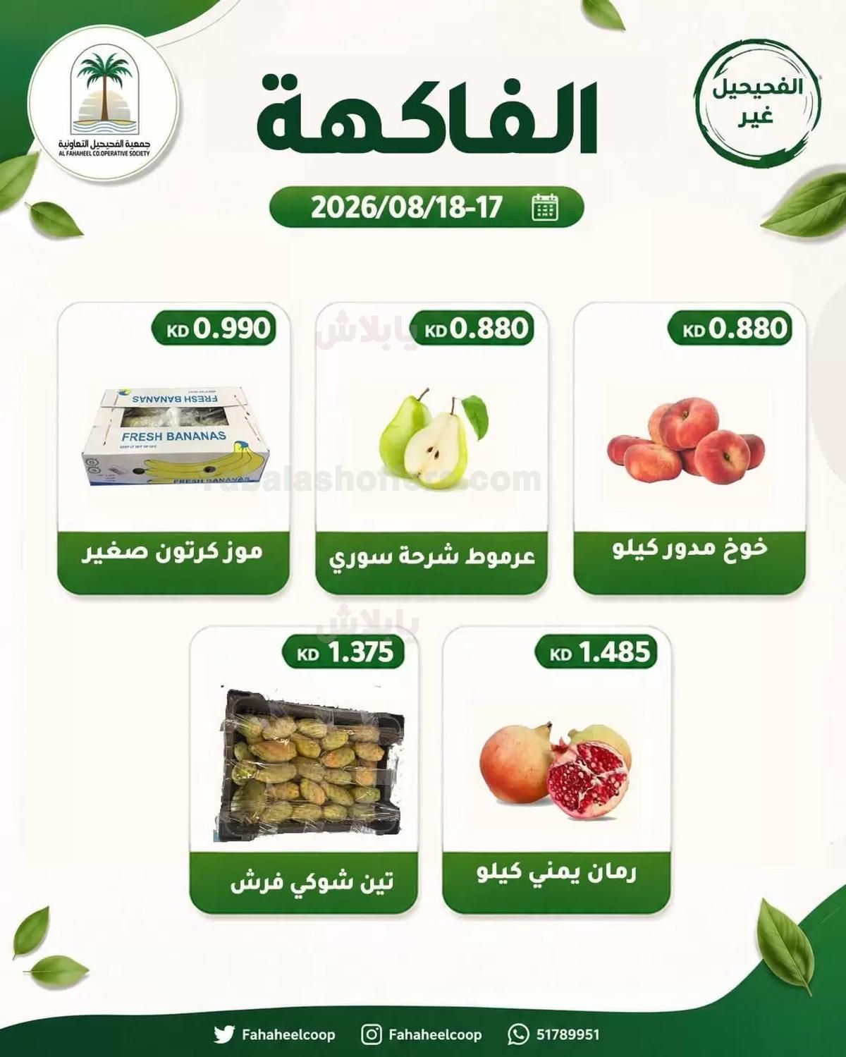صفحة 4