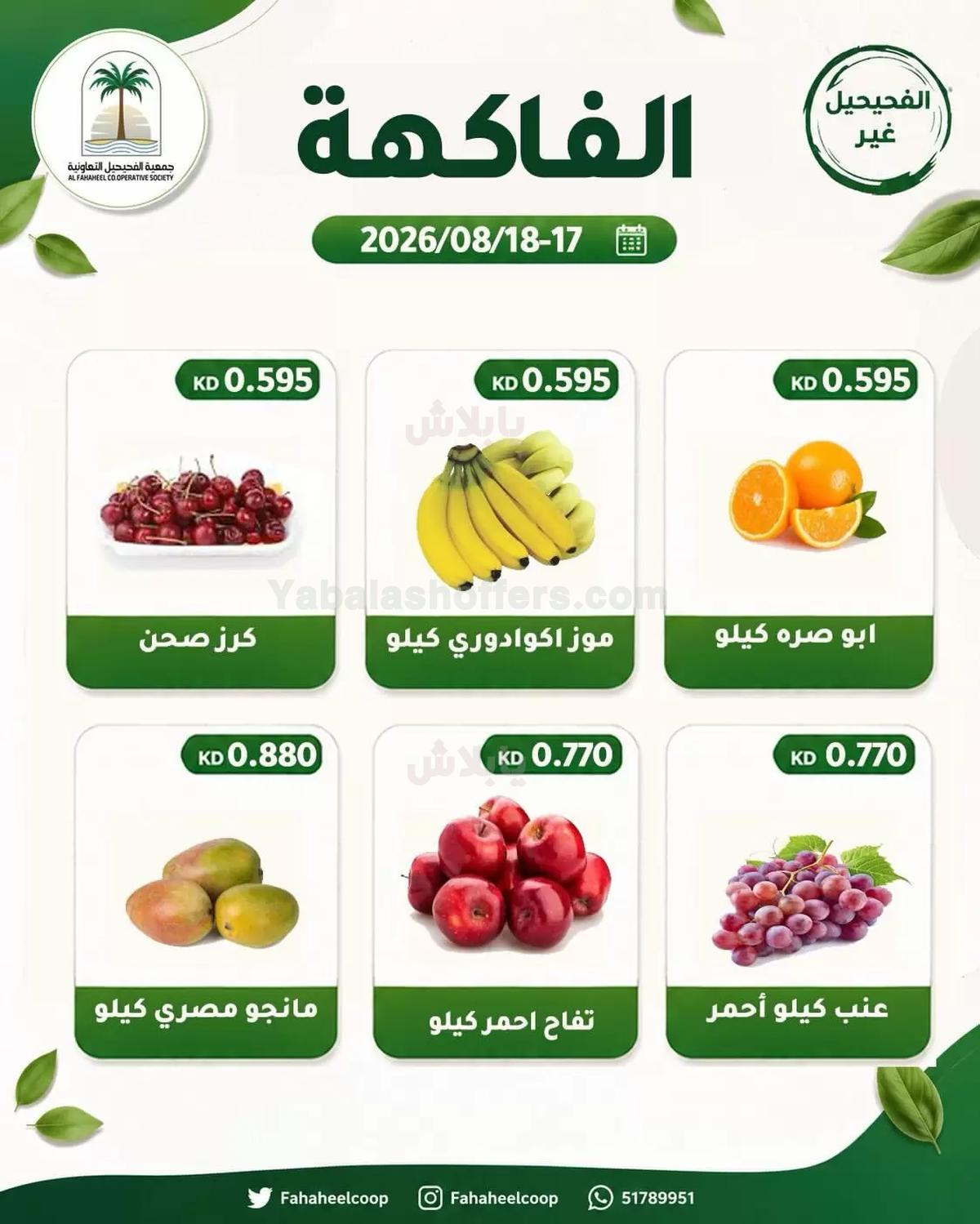 صفحة 5