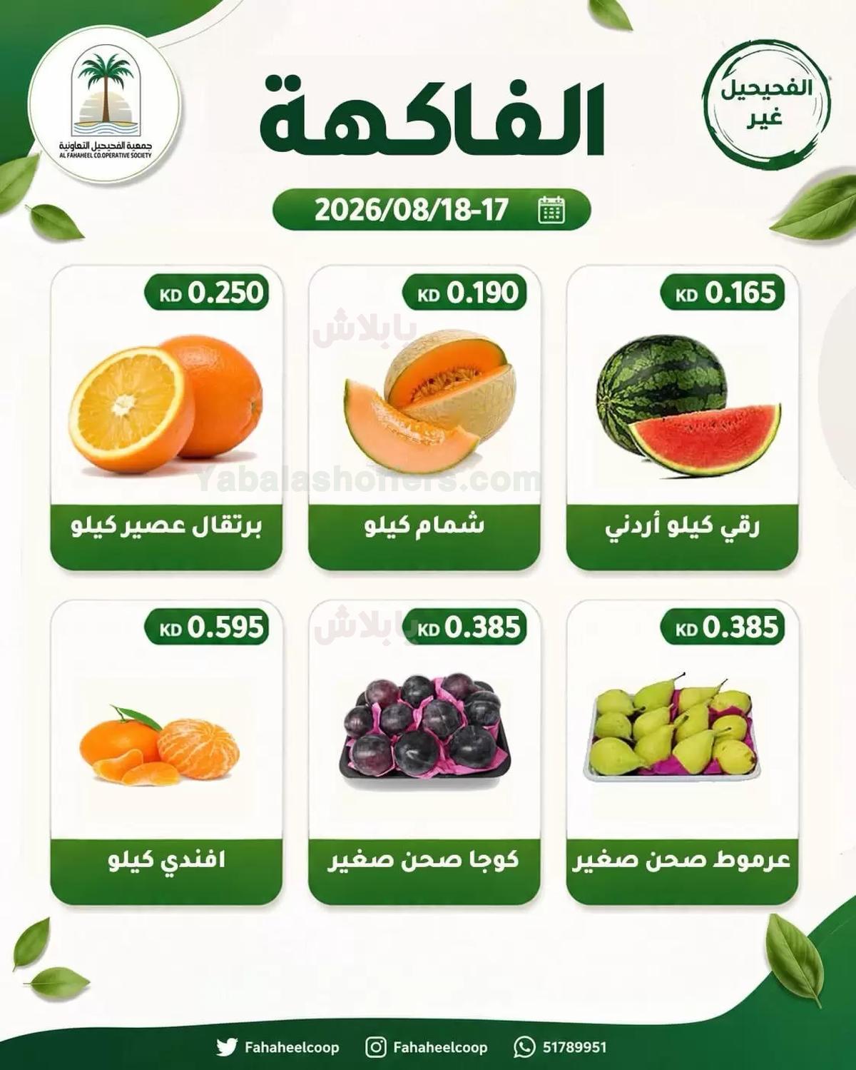 صفحة 6