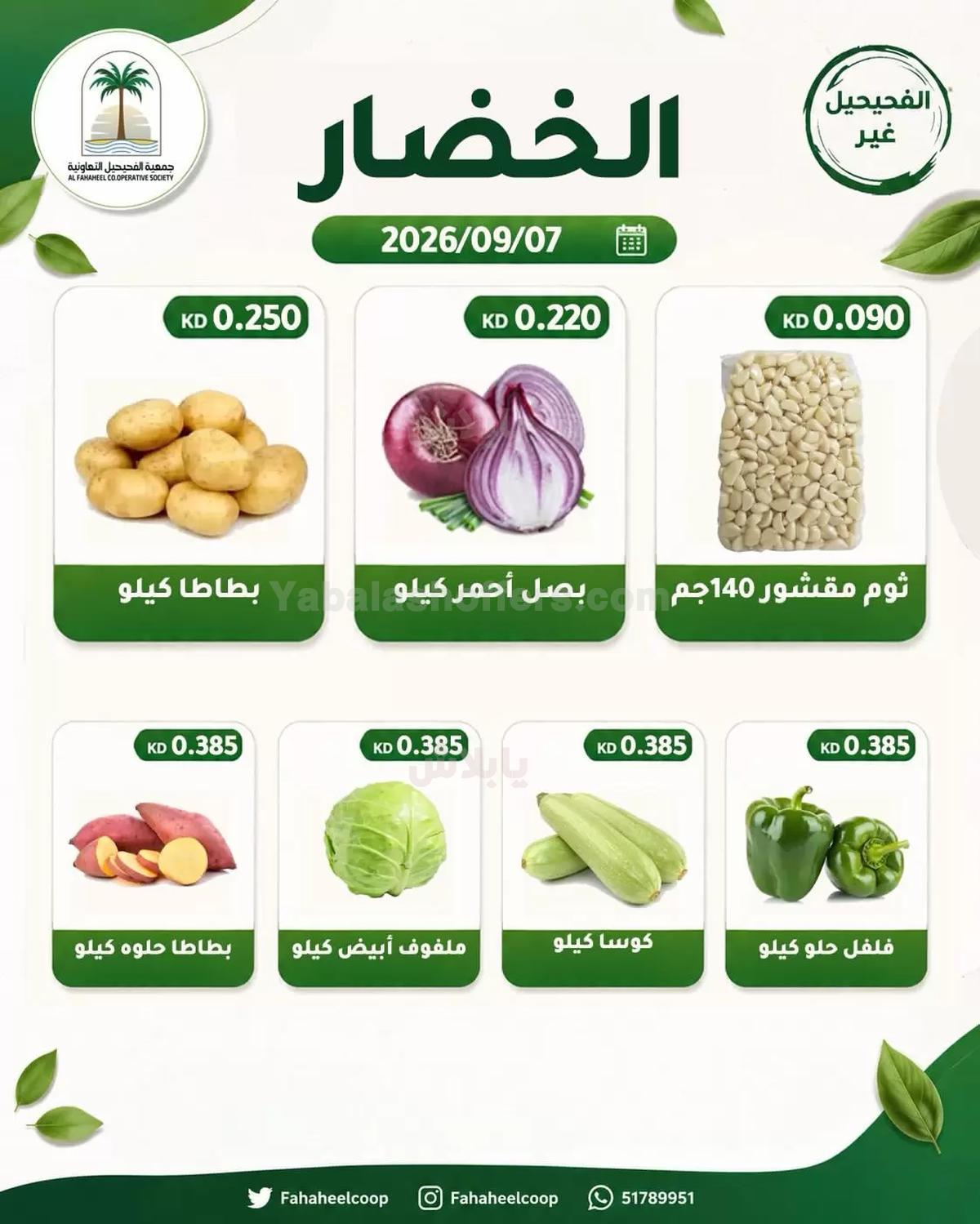 صفحة 2